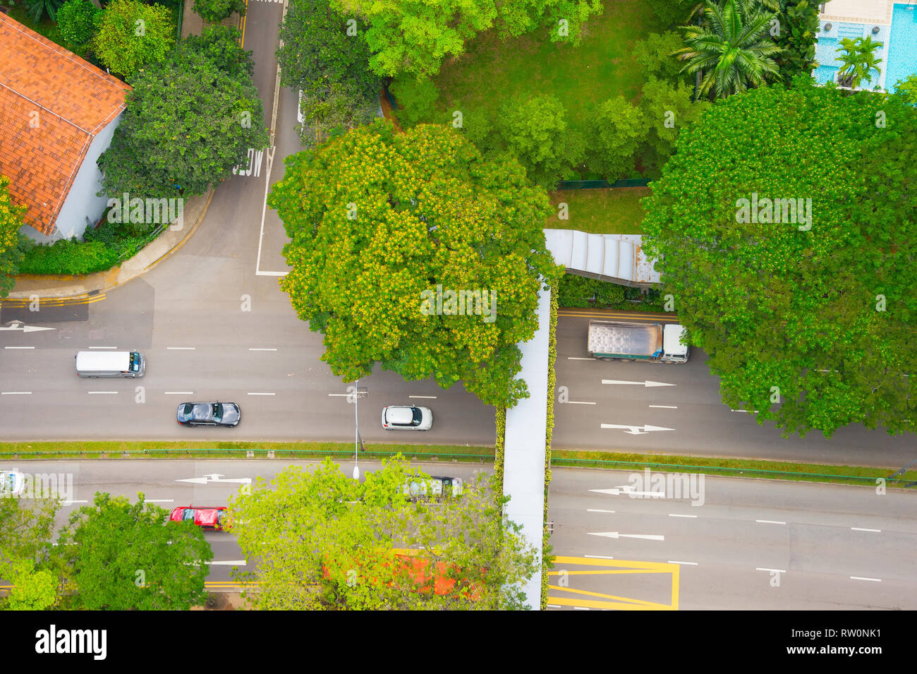 Vue de dessus de la circulation automobile sur carrefour à la rue verte dans quartier résidentiel avec piscine et maison, Singapour Banque D'Images