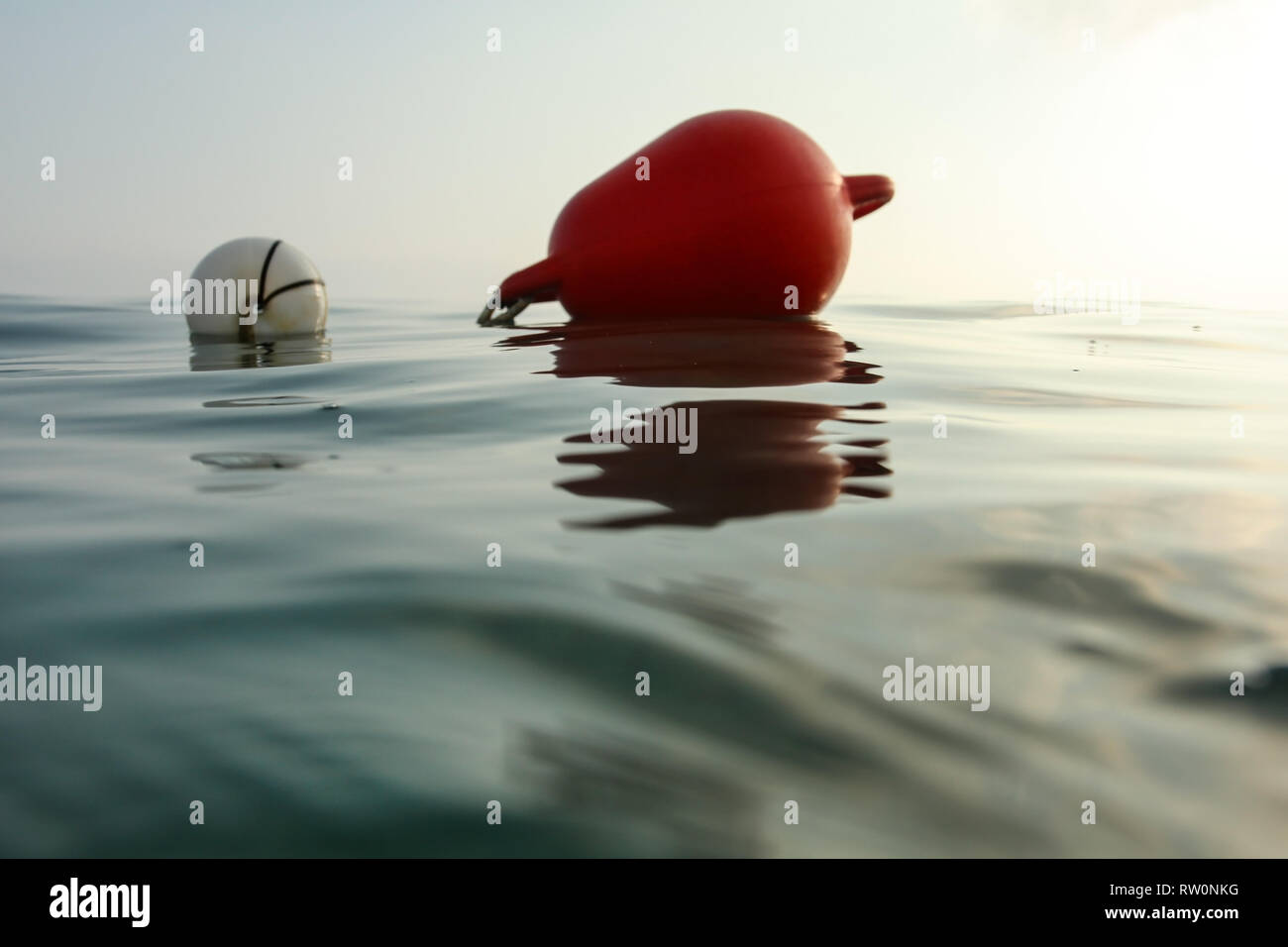 Photographié à la surface de la mer de niveau d'eau, la bouée de la mer à l'arrière. Résumé fond marin. Banque D'Images