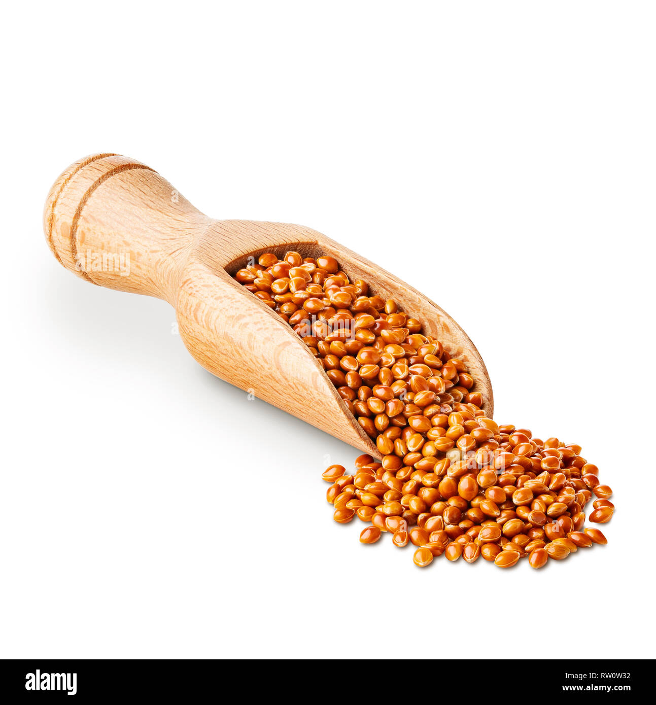 Le Millet avec des coquilles dans un scoop en bois isolé sur blanc Banque D'Images