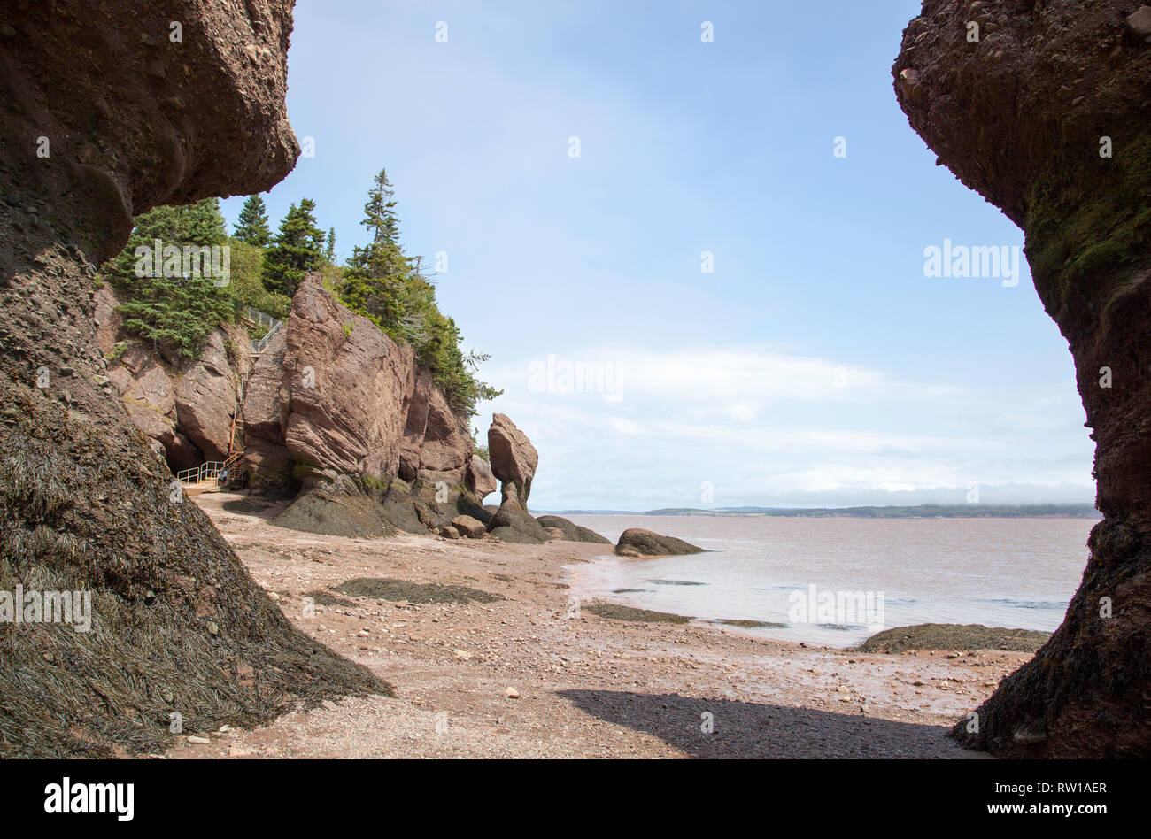 La vue sur le paysage du parc des rochers Hopewell Rocks, célèbre pour ses très grandes marées (Nouveau-Brunswick, Canada). Banque D'Images