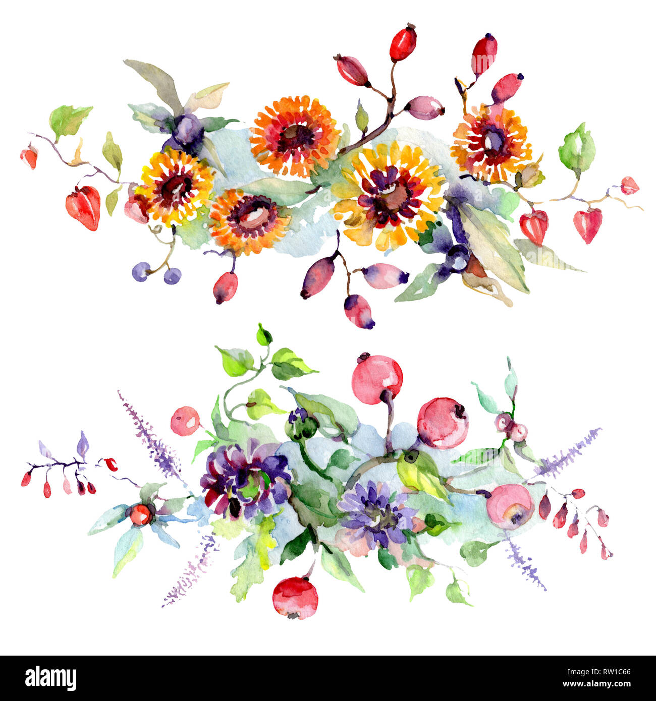 Bouquet De Fleurs Et De Baies Botanique Floral Fleur Printemps Sauvage De Fleurs Sauvages De La Feuille Jeu De Fond A L Aquarelle Aquarelle Dessin Fashion Aquarel Photo Stock Alamy Bouquet De Fleurs Et De Baies Botanique Floral Fleur Printemps Sauvage De Fleurs Sauvages De La Feuille Jeu De Fond A L Aquarelle Aquarelle Dessin Fashion Aquarel Photo Stock Alamy