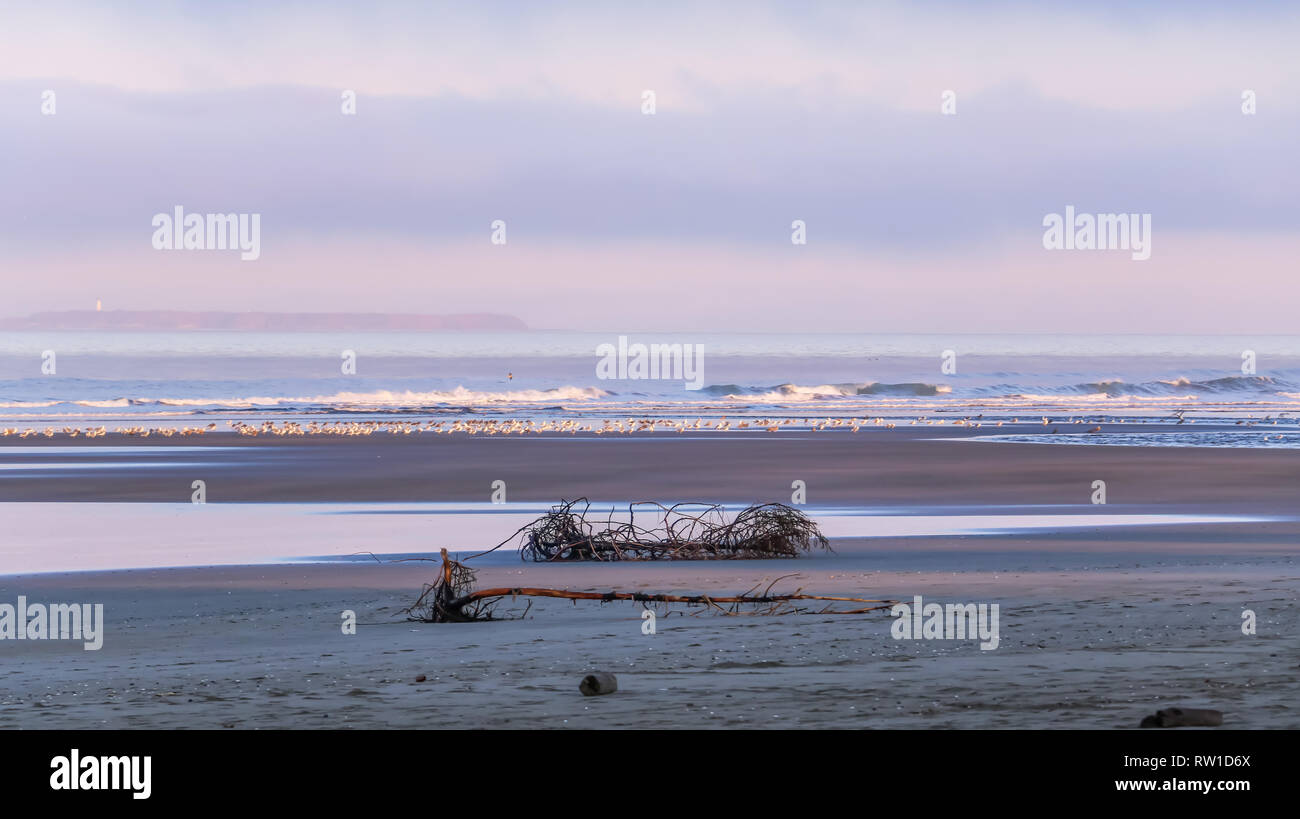 Olympic National Park est un vaste désert de la nature à son meilleur. La côte Pacifique offre des plages de sable, de lacs et de côtes rocheuses. Banque D'Images