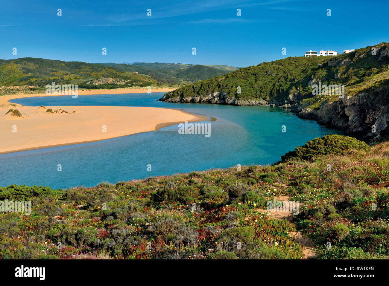 La courbe de la rivière avec des bancs de sable, falaises et paysage naturel vert Banque D'Images