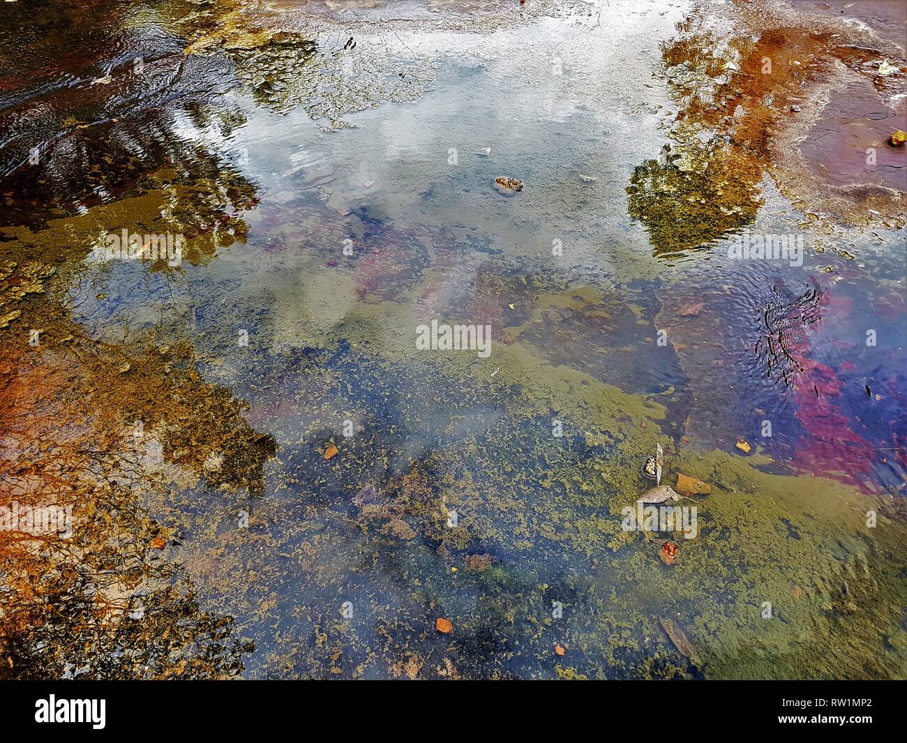 Résumé naturellement. Les réflexions dans le lit du ruisseau, parc national de Karijini Gorge Dale Banque D'Images