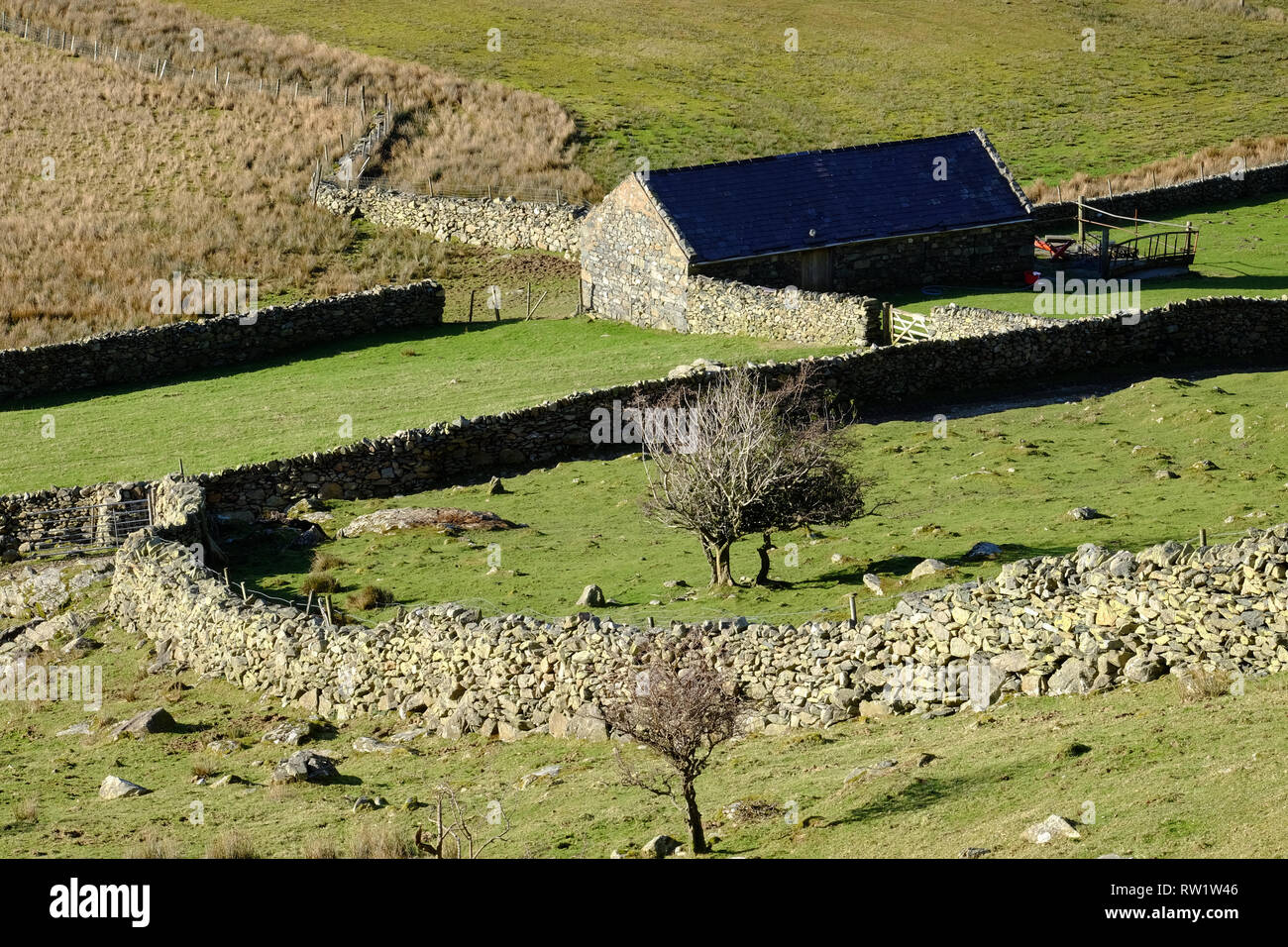 Les murs et la grange sur le terrain à Nant Ffrancon, Snowdonia, le Nord du Pays de Galles Banque D'Images