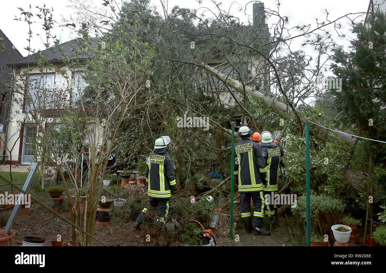 04 mars 2019, Berlin, Düsseldorf : Les pompiers sont debout devant un arbre tombé dans la région de Düsseldorf. 'Faible' tempête Bennett est responsable de nombreuses opérations de lutte contre l'incendie dans la capitale de l'état et continue de causer des problèmes dans les grands bastions de carnaval de Cologne et Düsseldorf. Photo : David Young/dpa Banque D'Images