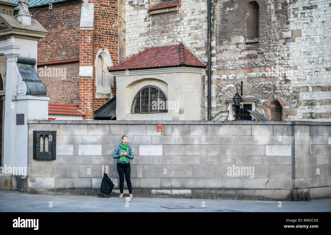 Voir l'extérieur de murs busker chante le Château Royal de Wawel à Cracovie-w, Lesser Poland Voivodeship, Pologne. Banque D'Images