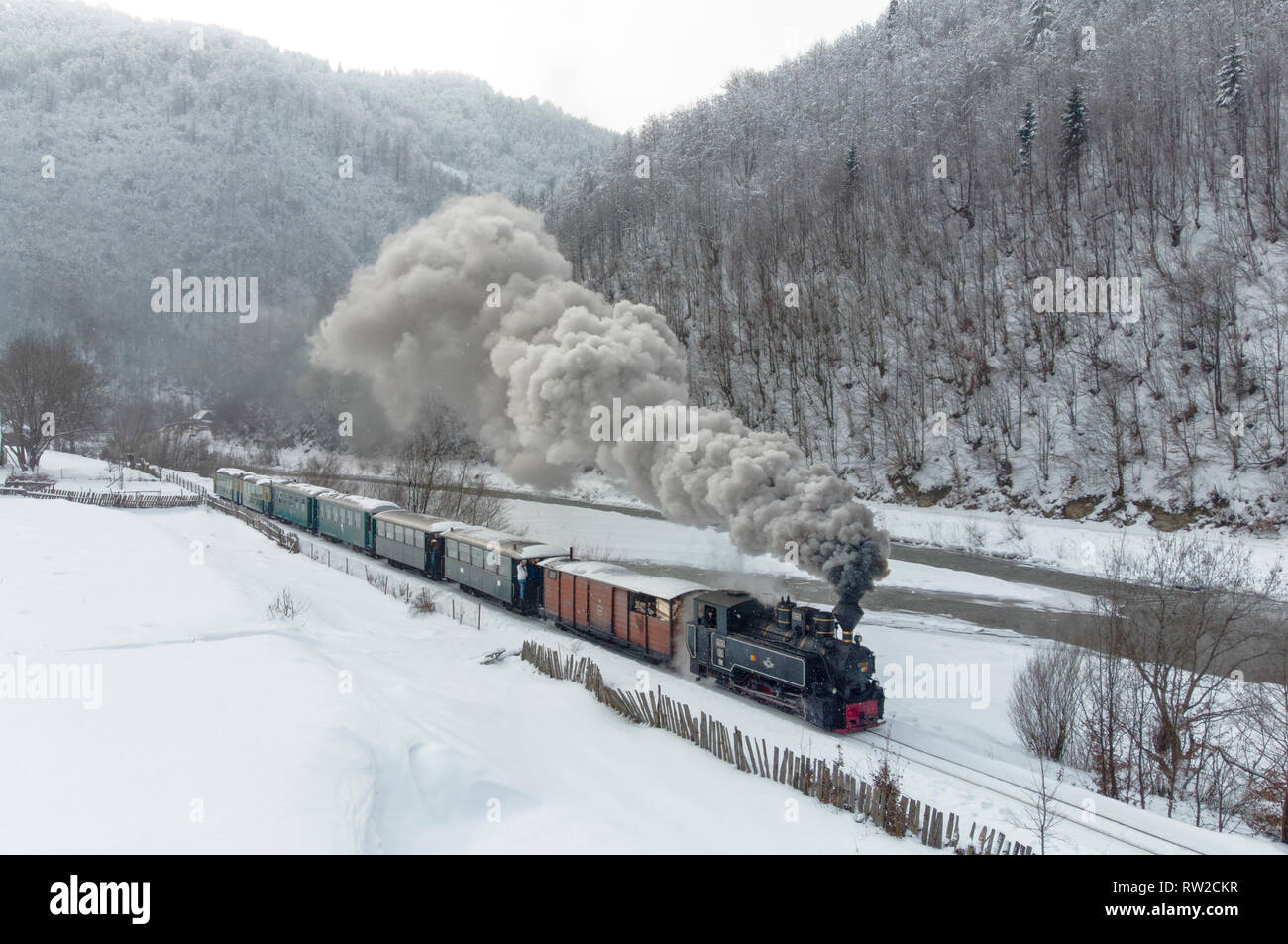 Train à vapeur vieux Mocanita de Viseu de Sus, Roumanie Banque D'Images