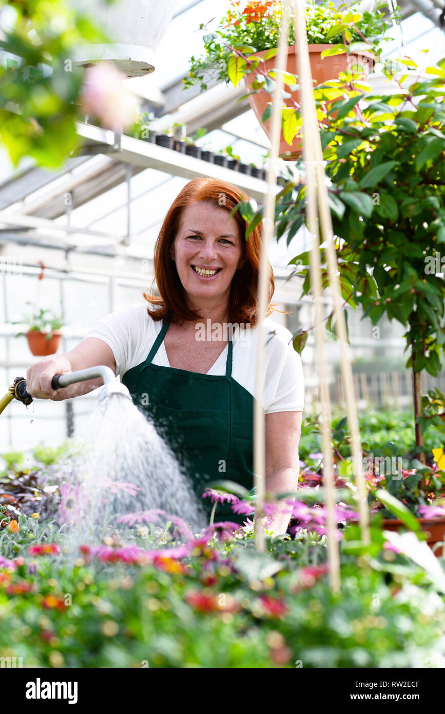 Woman watering flowers dans une pépinière - serre de plantes de couleur à vendre Banque D'Images