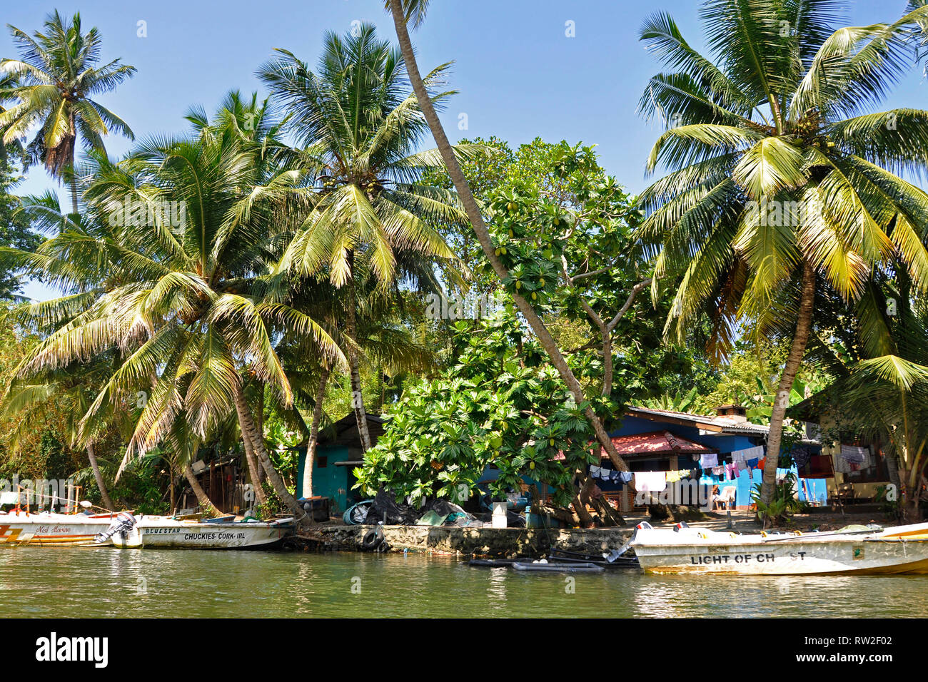 Sri Lanka, Balapitiya, Madu Ganga river Banque D'Images
