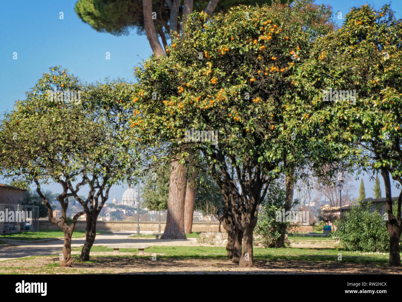 Jardin Orange Colline De L Aventin Rome Italie Photo Stock Alamy