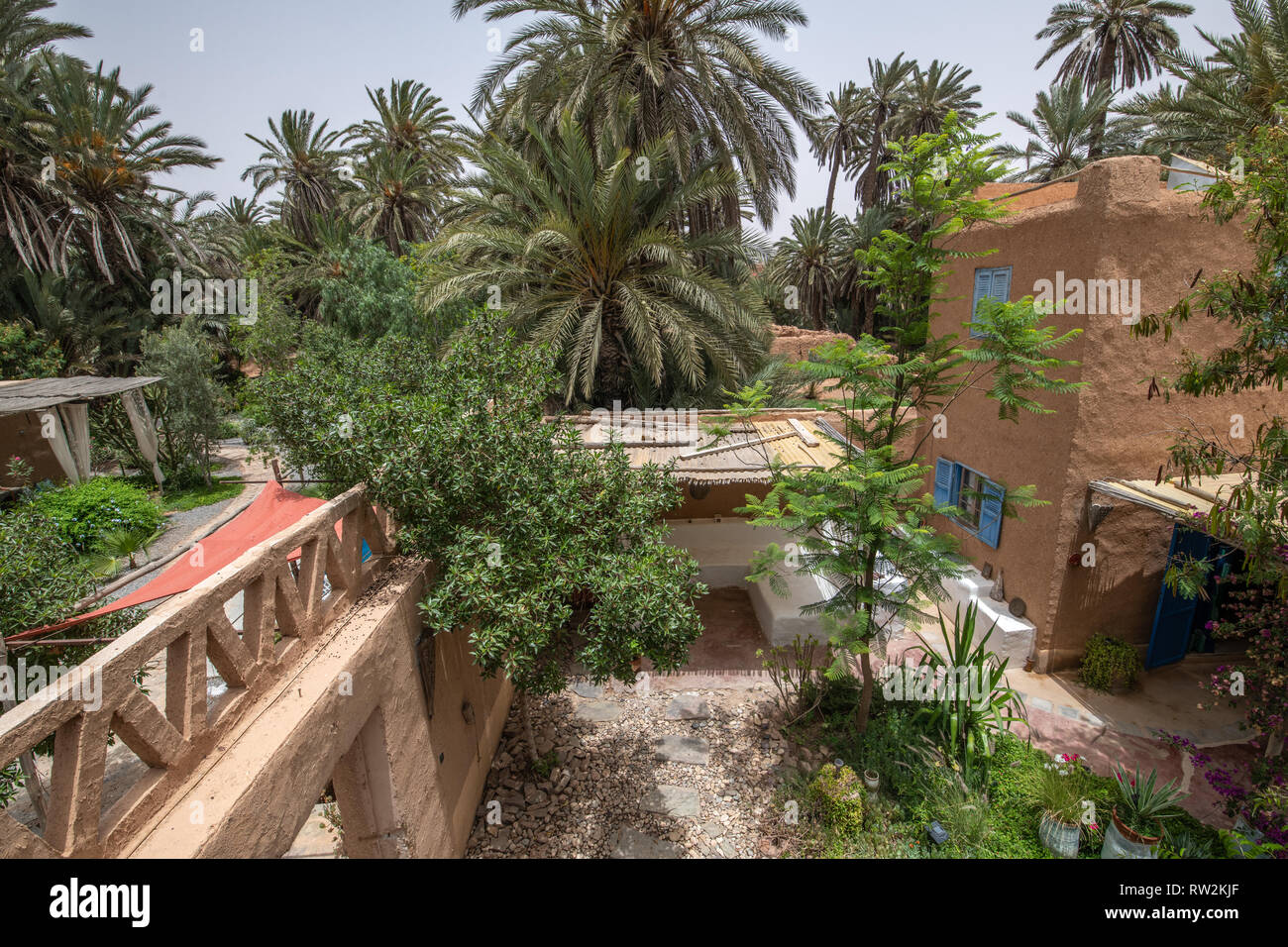 High angle view à partir de boue-brique traditionnel construit avec des palmiers poussent autour, Oasis Tighmert composé, Maroc Banque D'Images