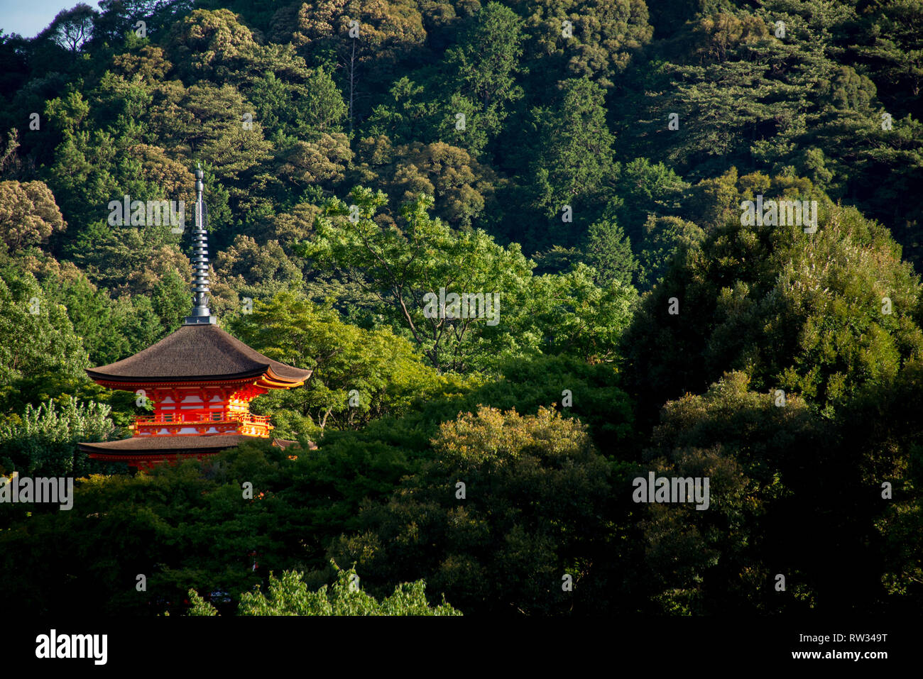 L'Asie, Japon, région du Kansai, Kyoto, temple Kiyomizu-dera Banque D'Images