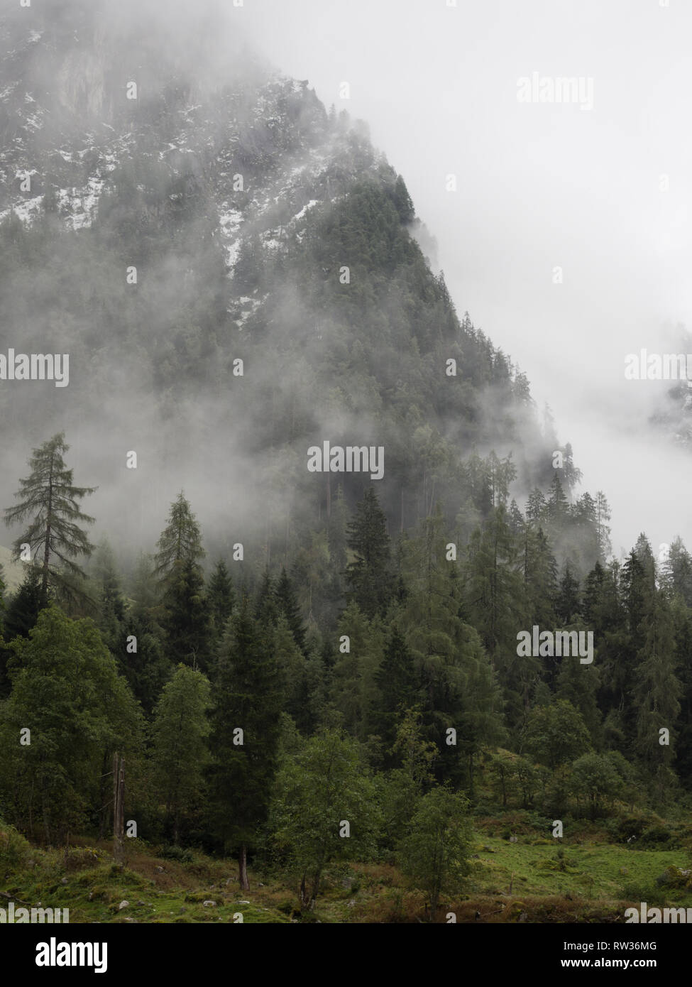 Misty mountain view Banque D'Images