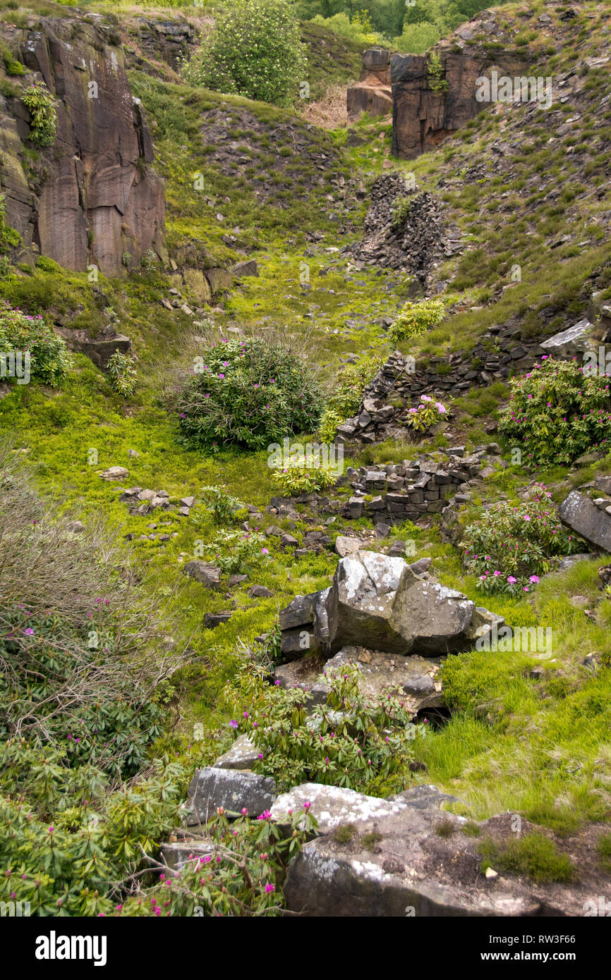 Le Derbyshire, UK - 03 juin 2016 : l'ancien site de la carrière sur Stanton Moor Banque D'Images