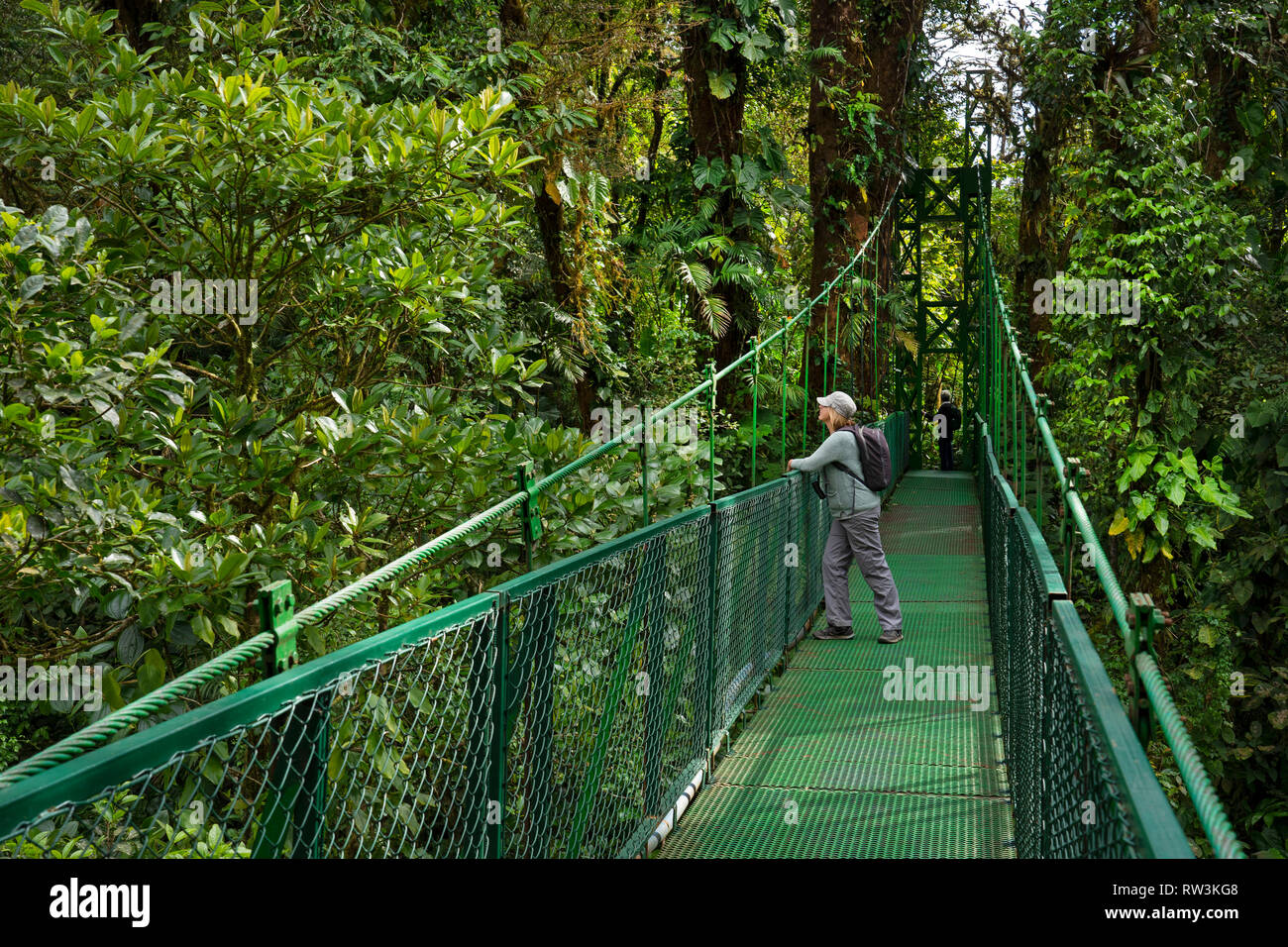 Tourisme pont suspendu au pied de la forêt nuageuse de Monteverde, Costa Rica, Amérique Centrale Banque D'Images