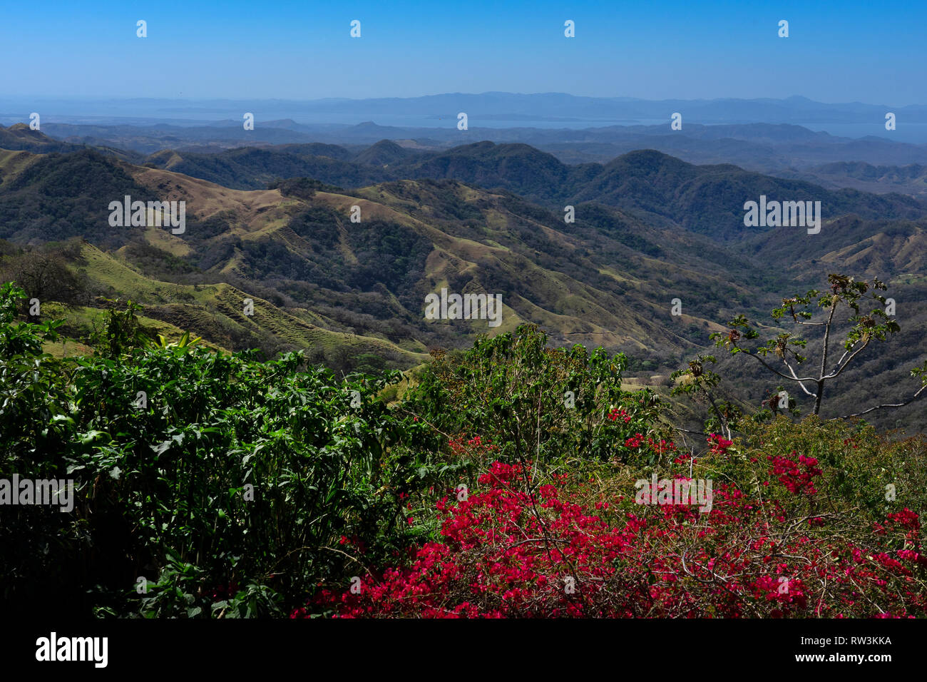 Vue sur campagne sur route pour la forêt nuageuse de Monteverde, Costa Rica, Amérique Centrale Banque D'Images