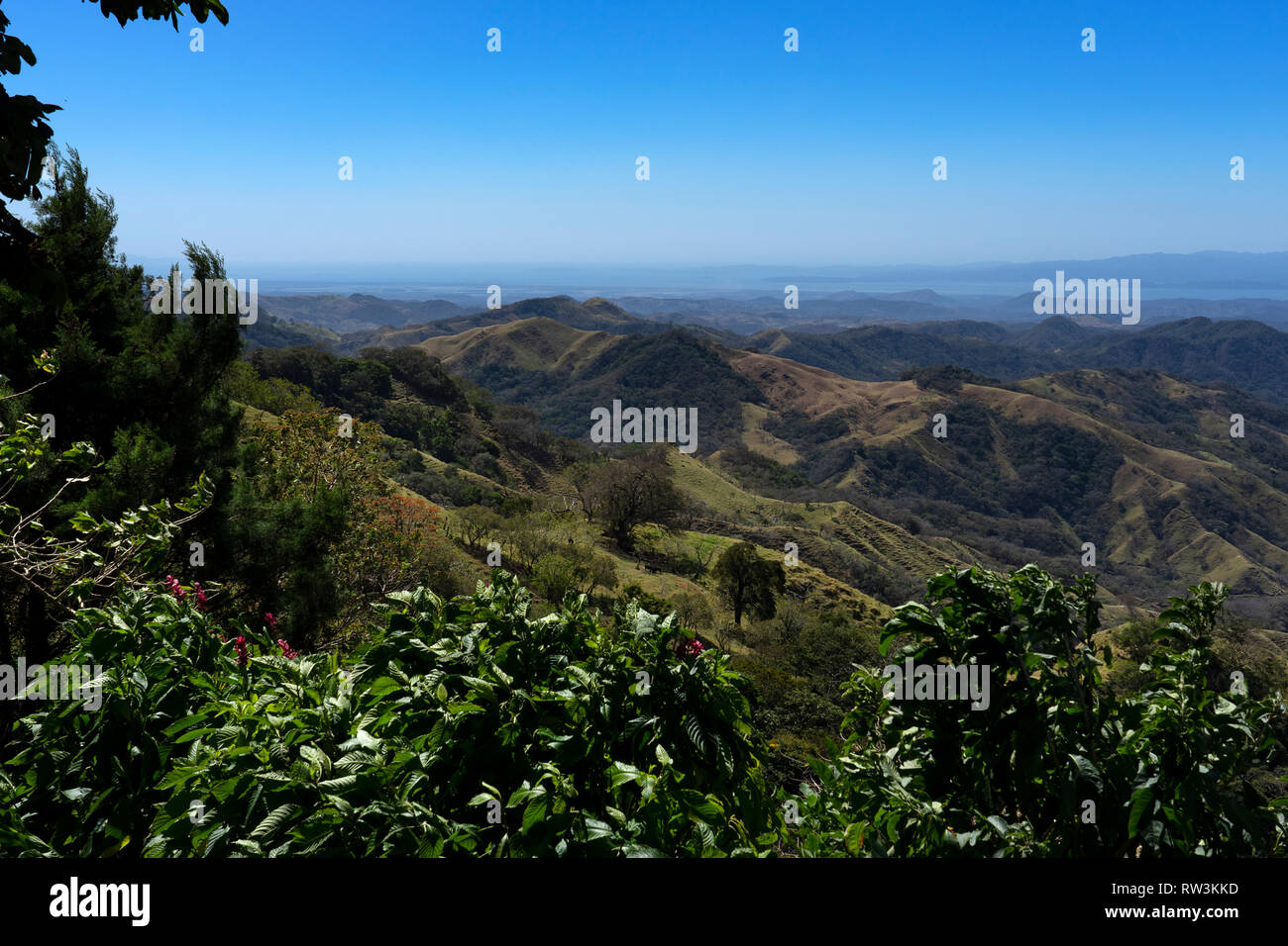 Vue sur campagne sur route pour la forêt nuageuse de Monteverde, Costa Rica, Amérique Centrale Banque D'Images