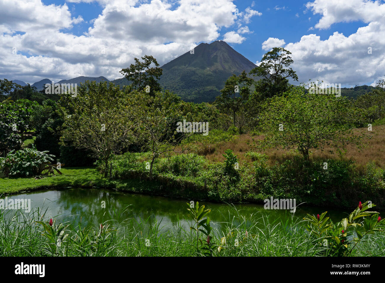 Parc National du Volcan Arenal, la Fortuna, Costa Rica, Amérique Centrale Banque D'Images