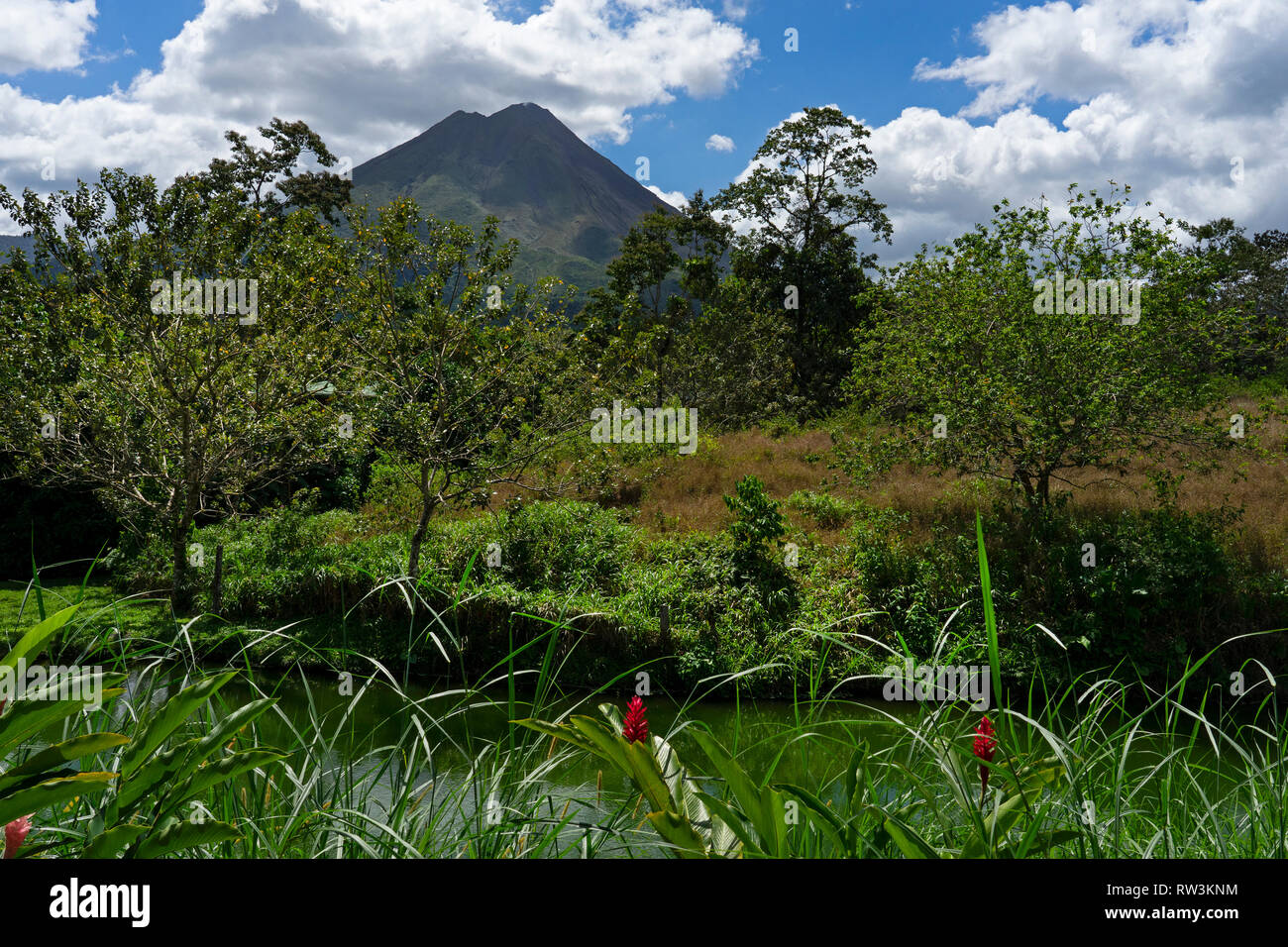 Parc National du Volcan Arenal, la Fortuna, Costa Rica, Amérique Centrale Banque D'Images