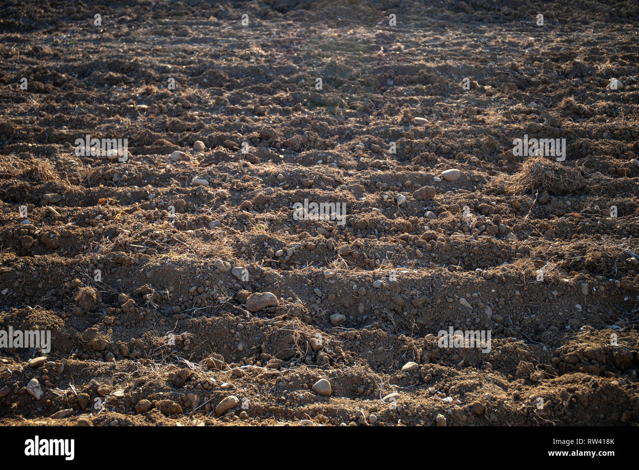 Terre labourée avec sillons sur une journée ensoleillée. L'agriculture ou le changement climatique. Banque D'Images