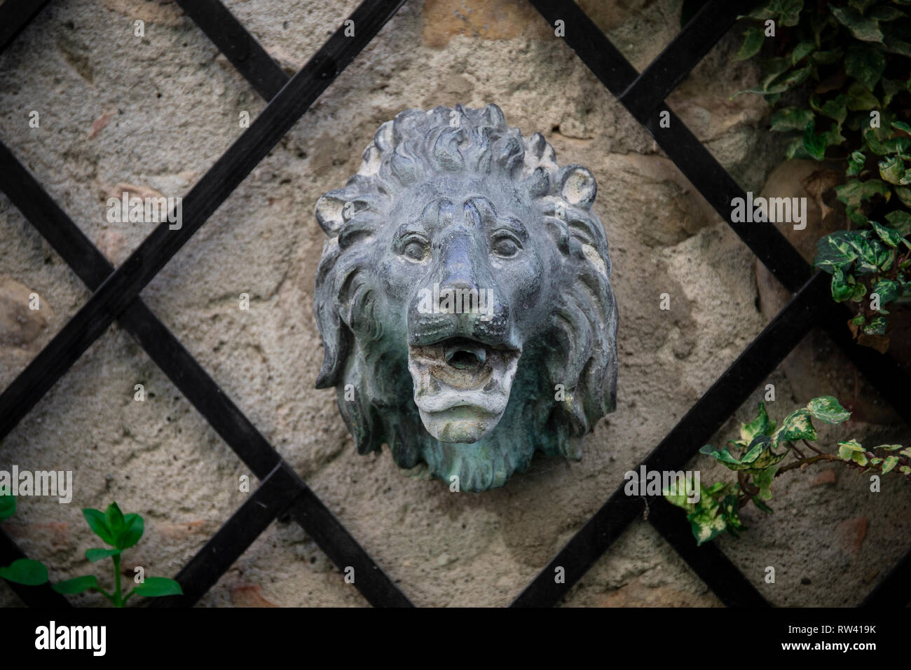 Fontaine tête de lion en fonte anciens fixée au mur de lierre dans jardin. Château de Rivalta, Emilia Romagna, Italie. Banque D'Images
