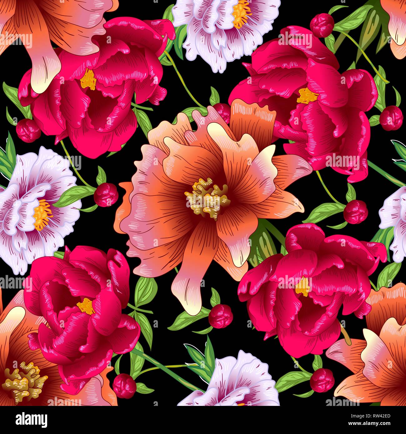 Vector floral pivoine rose et rouge fleurs botanique. L'art d'encre gravée motif de fond transparent. Illustration de Vecteur