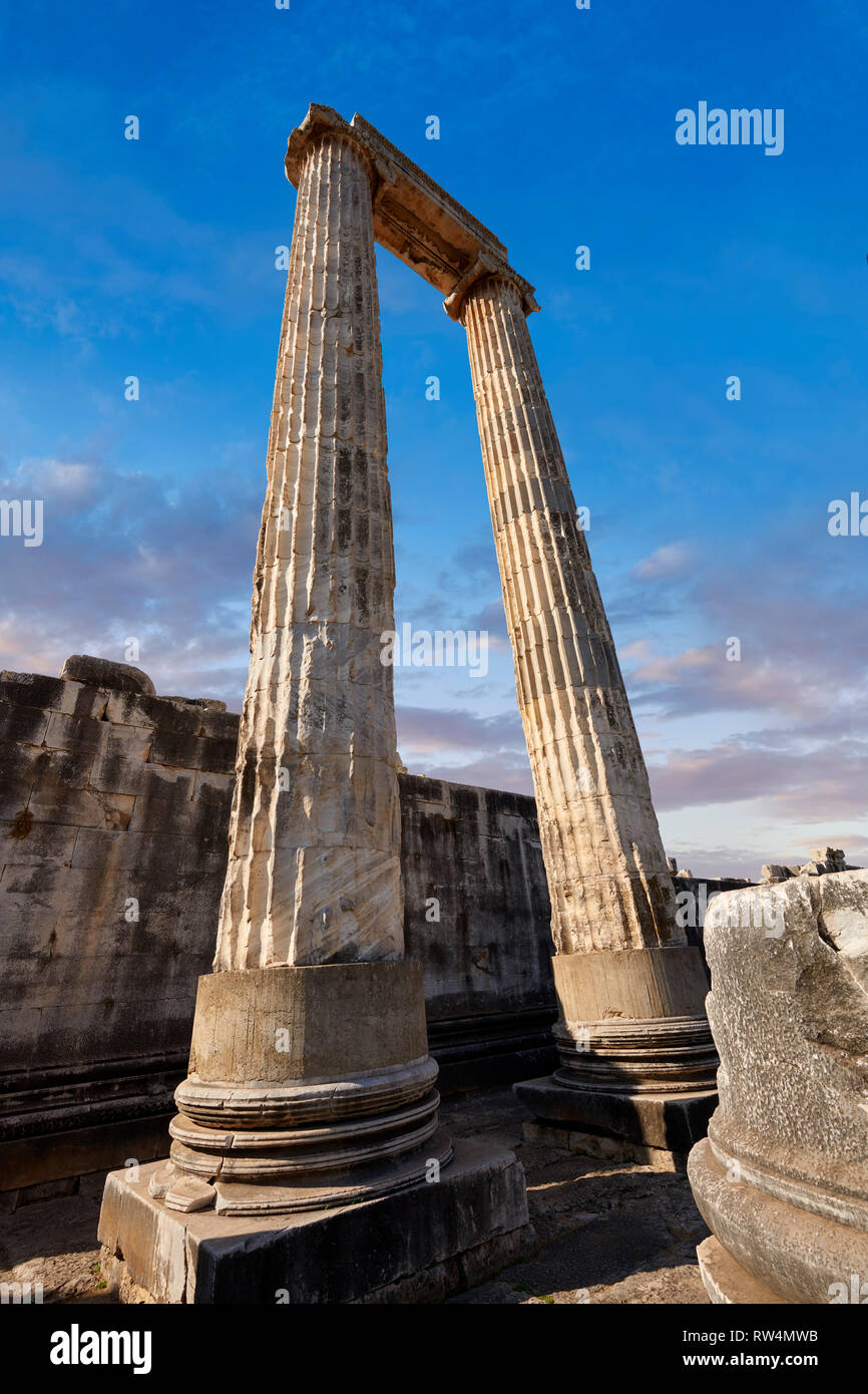 Photo des étapes et les colonnes des ruines de l'antique grecque Ionienne Didymes Temple d'Apollon & accueil à l'Oracle d'Apollon. Aussi connu sous le nom de Di Banque D'Images