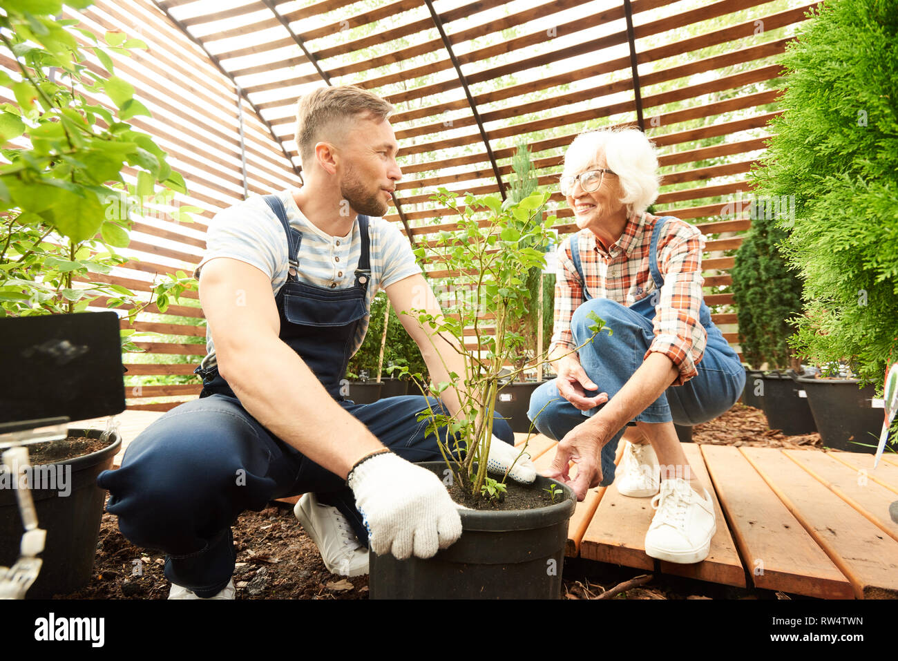 Mère et Fils travaillant dans jardin Banque D'Images