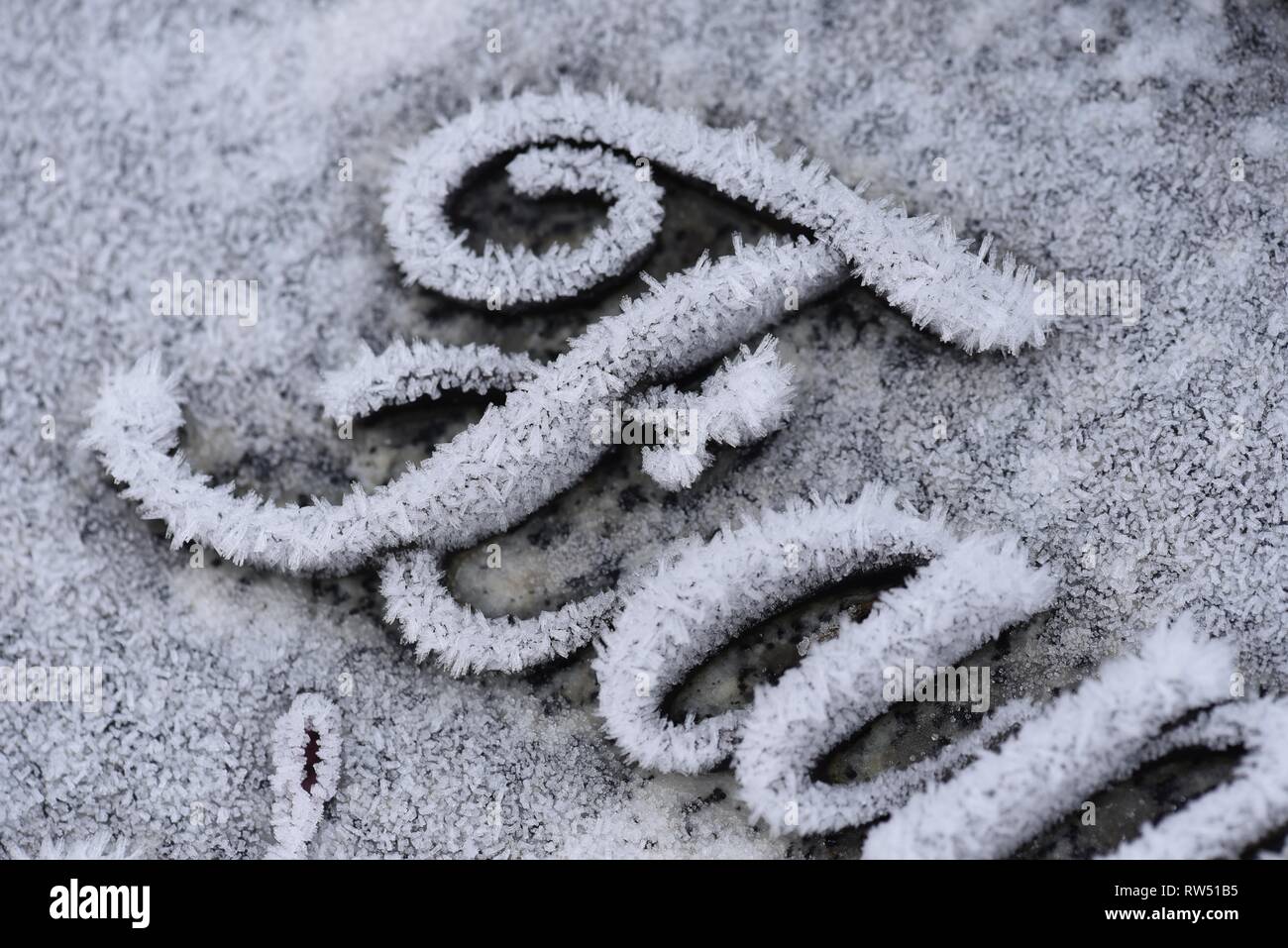 Frost : un gros plan montrant les cristaux de glace qui se sont formés pendant la nuit lorsque la température a chuté dans un environnement humide Banque D'Images