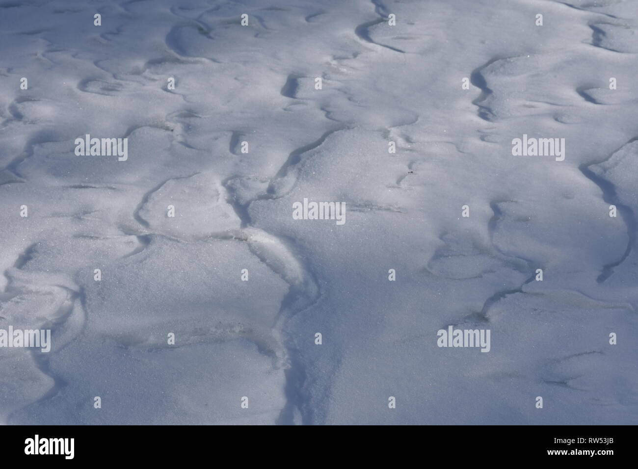 Italien, Dolomiten, Drei Zinnen, Monte Piano, Zinnen, hiver, Fels, EIS, Schnee, voir, Monte Cristallo, Cima Cadin di San Lucano, 3, 3 Cime Cime di Lav Banque D'Images