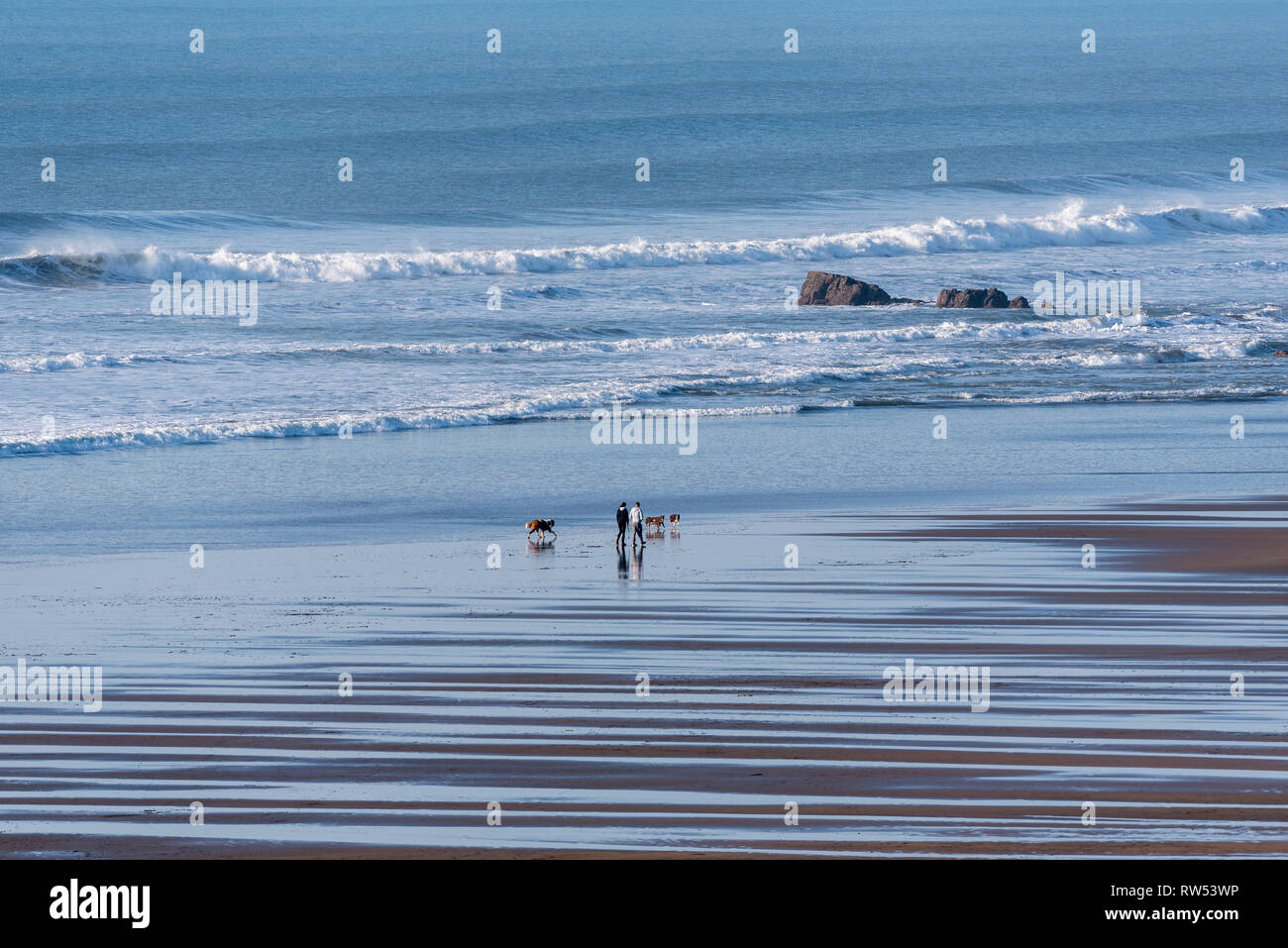 Widemouth Bay, Cornwall, England, UK. Février 2019. Widemouth Bay, près de Bude, Cornouailles du nord avec un fond de la mer à marée basse. Banque D'Images