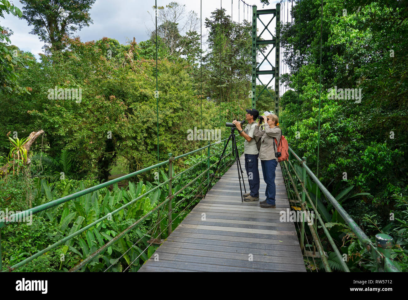 Les touristes avec guide sur le pont suspendu à la Station biologique de la Seva,forêt tropicale,Sarapiqui, Costa Rica, Amérique Centrale Banque D'Images