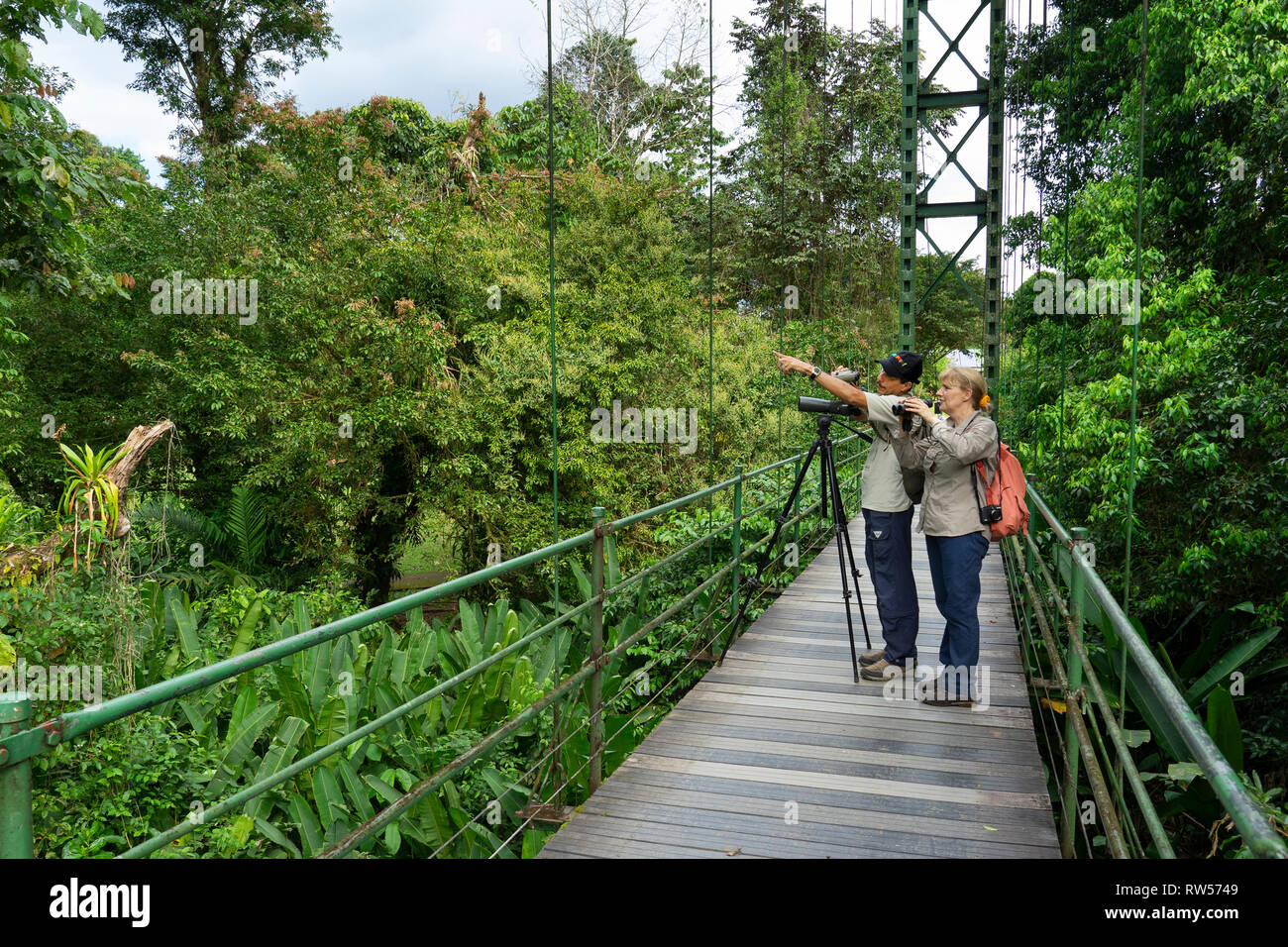 Les touristes avec guide sur le pont suspendu à la Station biologique de la Seva,forêt tropicale,Sarapiqui, Costa Rica, Amérique Centrale Banque D'Images