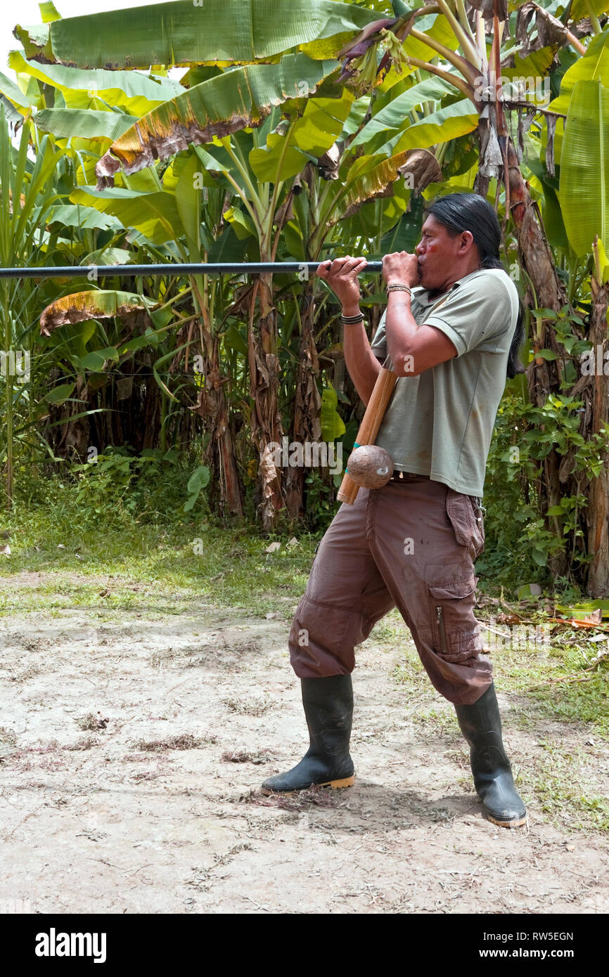 Homme ; vêtements de camouflage, indigènes, à l'aide de la sarbacane ;  chasse ; compétence ; arme, bottes en caoutchouc, tribu autochtone ; Amazon  jungle, la forêt tropicale amazonienne Ecu Photo Stock - Alamy