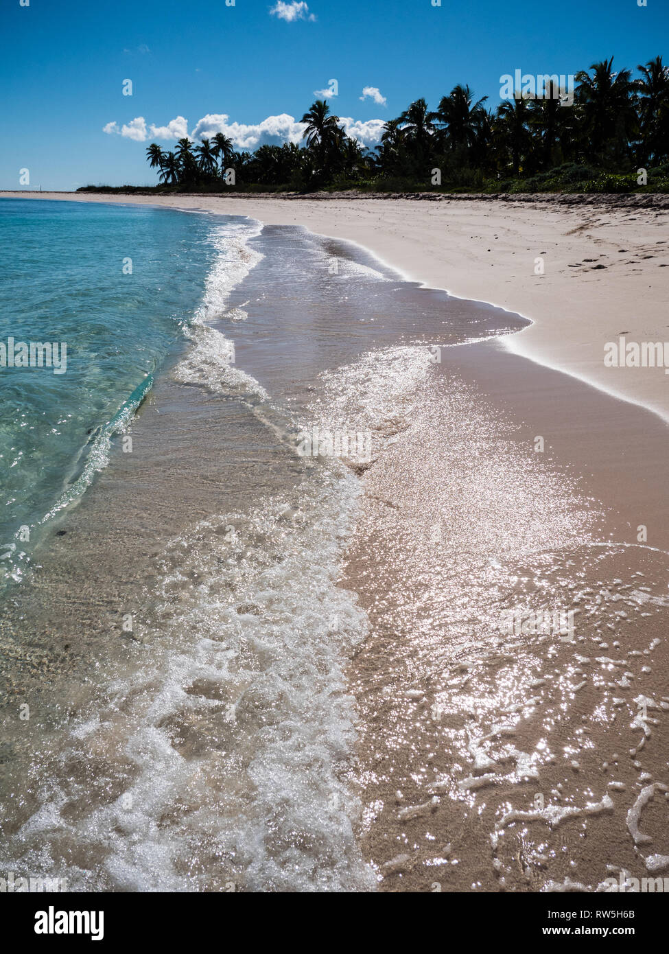 Vagues sur le rivage de plage tropicale avec palmiers, Twin Cove Beach, la Côte Atlantique, l'île d'Eleuthera, aux Bahamas, dans les Caraïbes. Banque D'Images