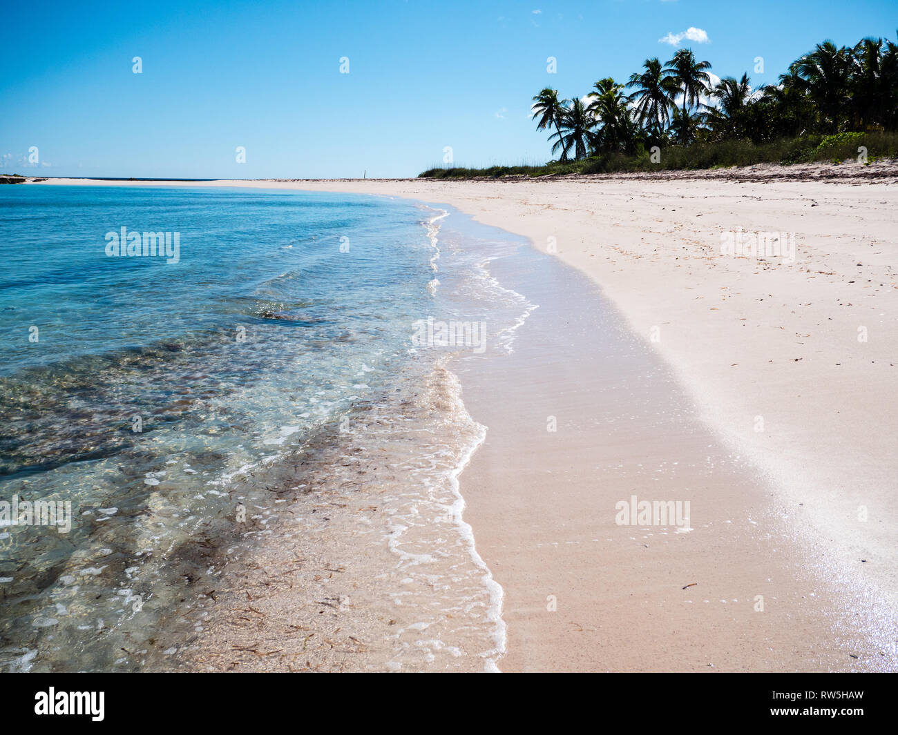 Vagues sur le rivage de plage tropicale avec palmiers, Twin Cove Beach, la Côte Atlantique, l'île d'Eleuthera, aux Bahamas, dans les Caraïbes. Banque D'Images