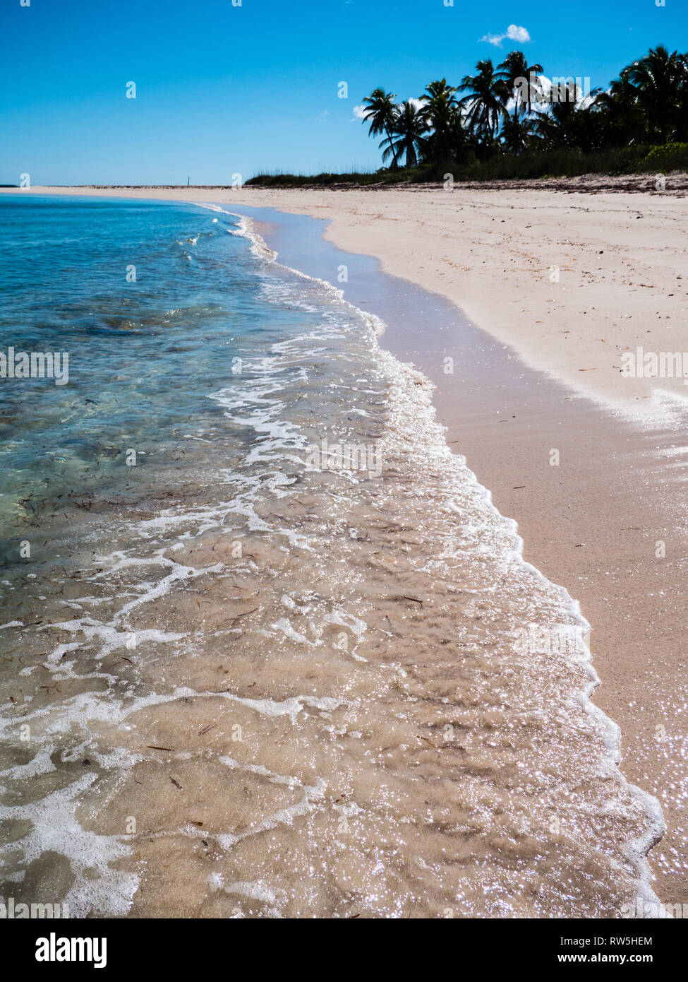 Vagues qui plage tropicale avec palmiers, double anses, Eleuthera, aux Bahamas, dans les Caraïbes. Banque D'Images