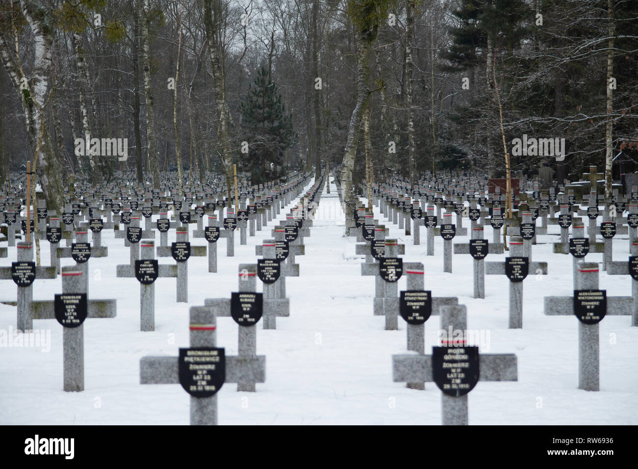 Un cimetière militaire de Varsovie, Pologne. Banque D'Images