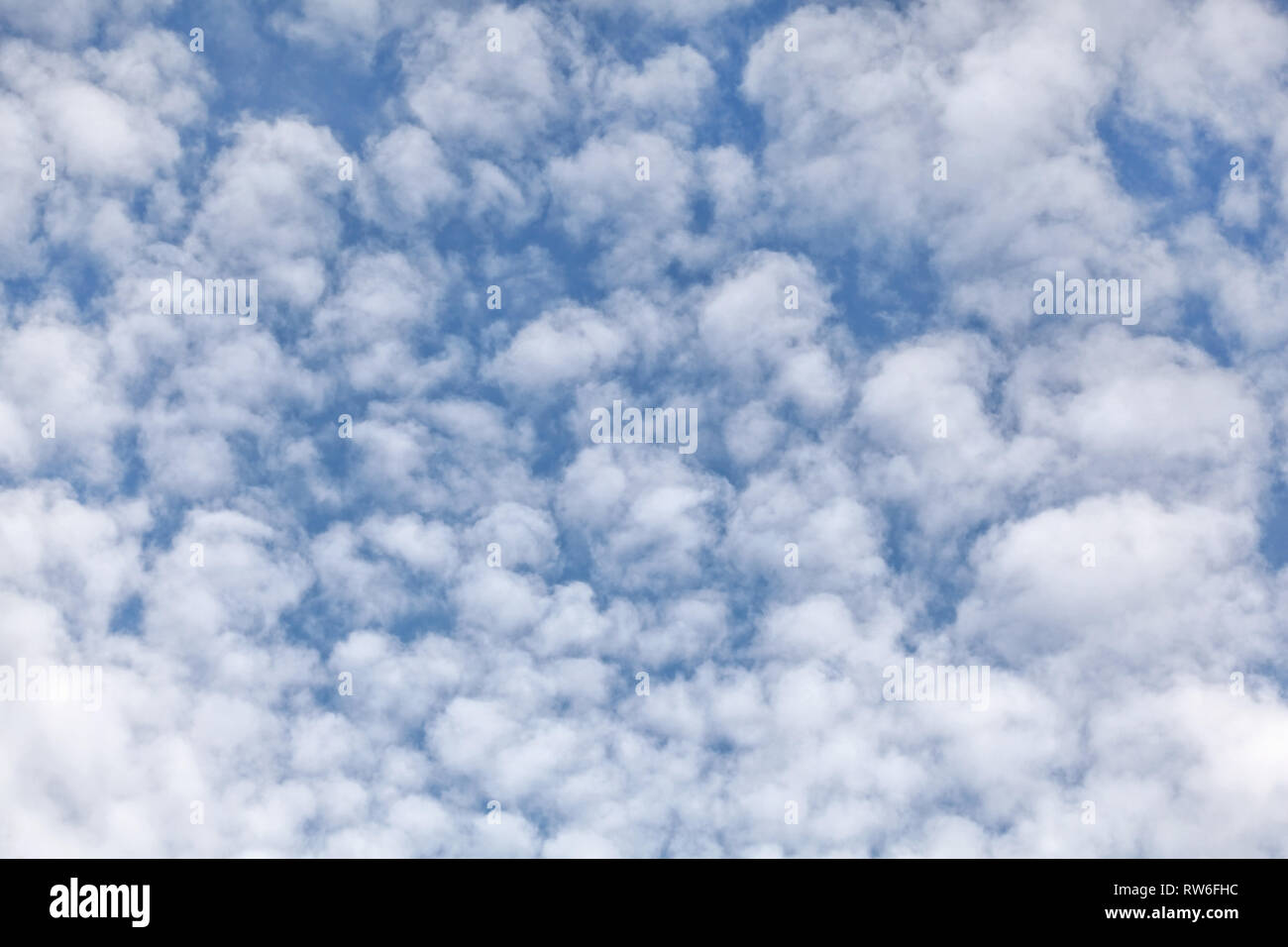 Ciel avec fluffy ( altocumulus / maquereau skies ) les nuages. Banque D'Images