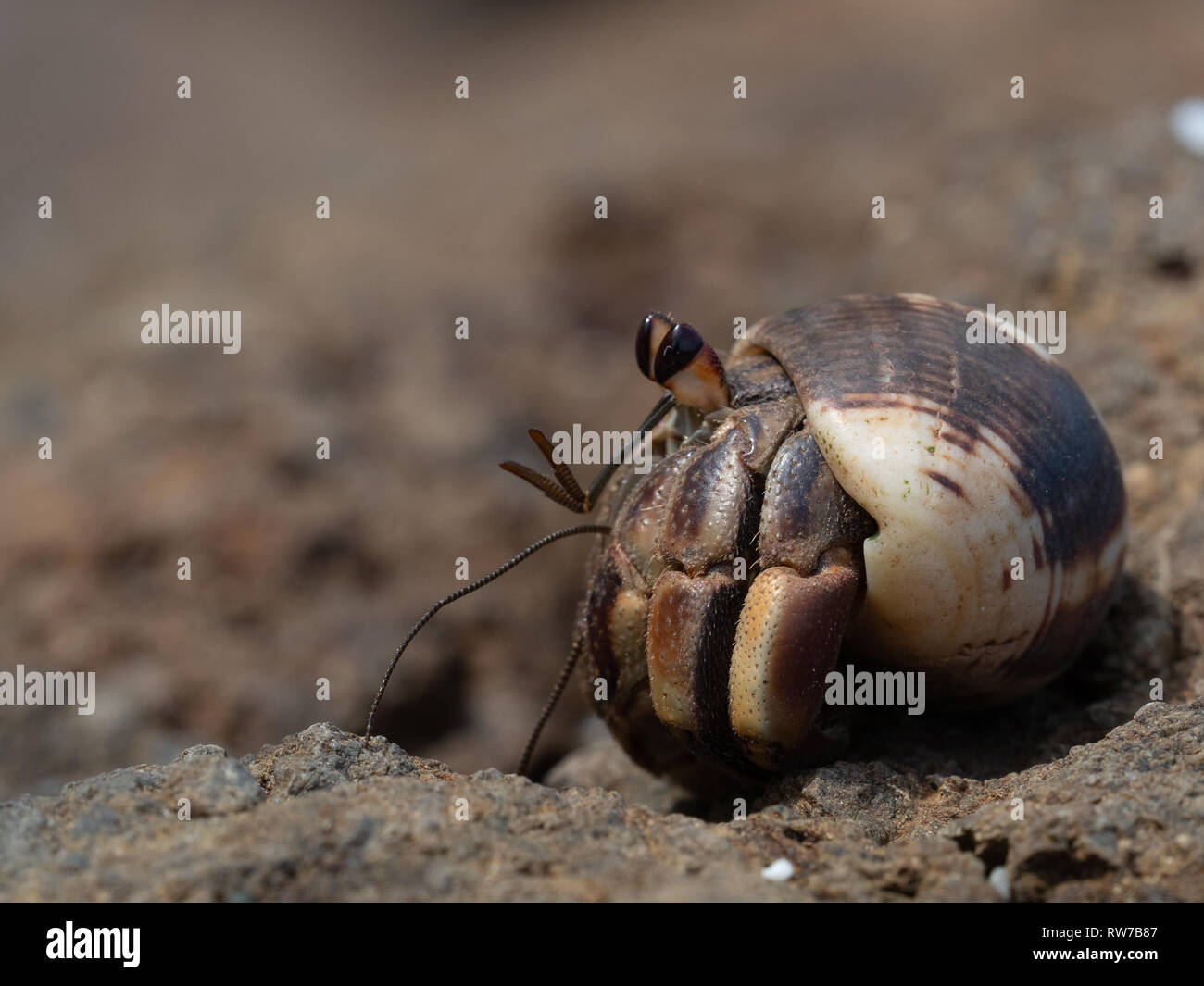 Mon petit home sweet home Banque D'Images