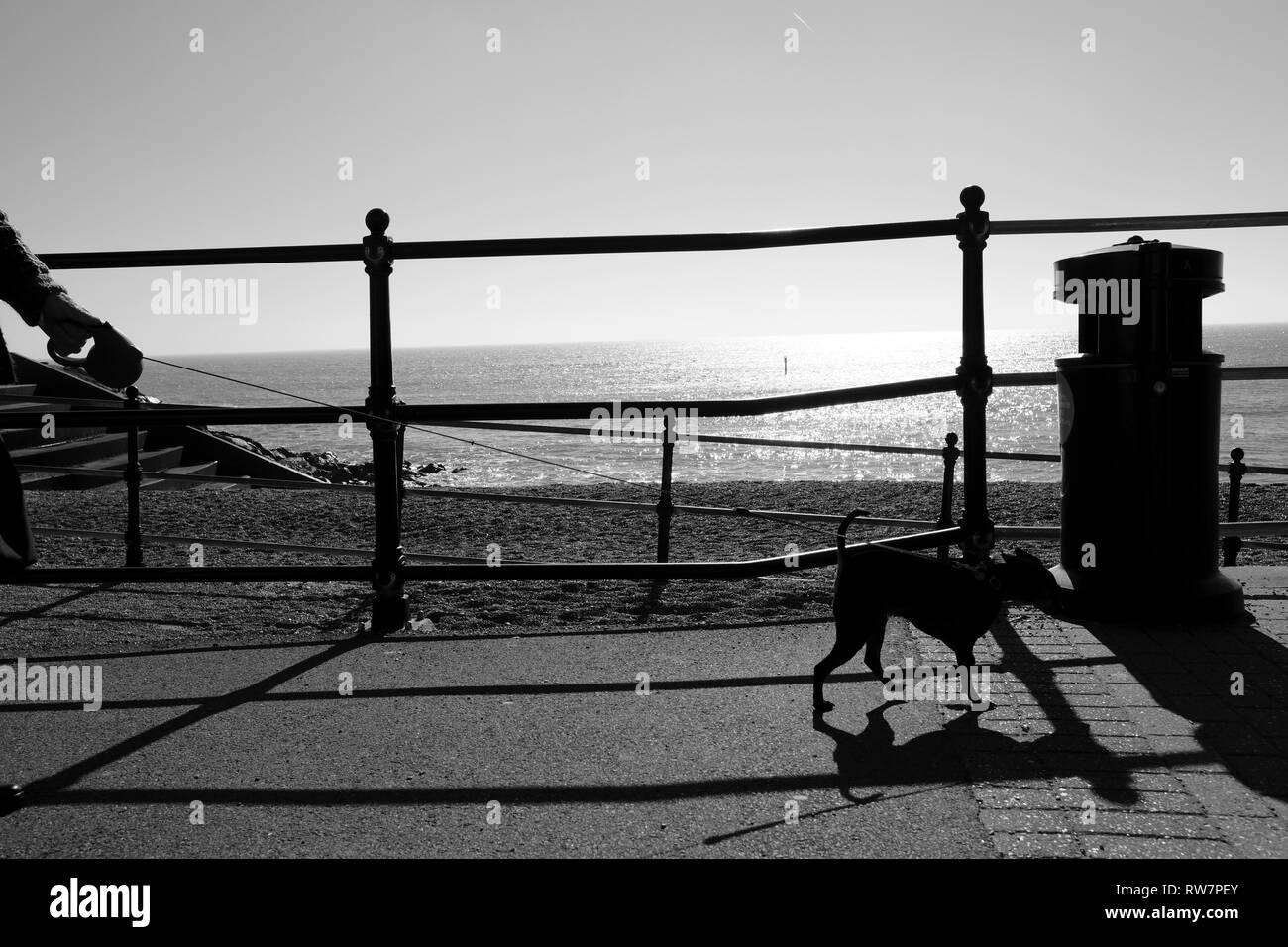 La promenade du chien le long de la promenade du front de Ventnor en silhouette, Ventnor, île de Wight, Angleterre, Grande-Bretagne, Royaume-Uni, UK. Banque D'Images