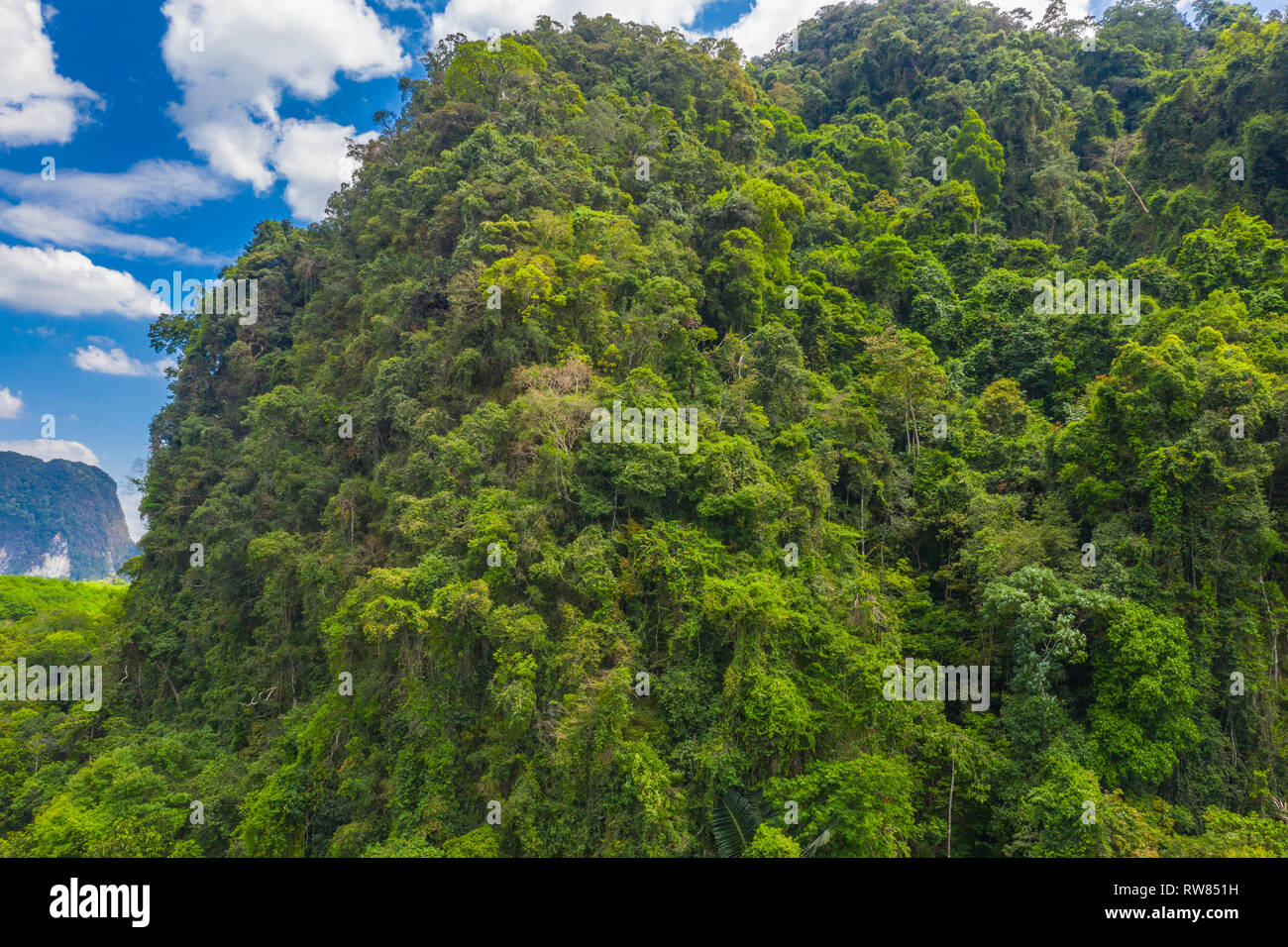 Tha Nam Song Klong Pom Nature Extraordinaire De Krabi Tha Foret