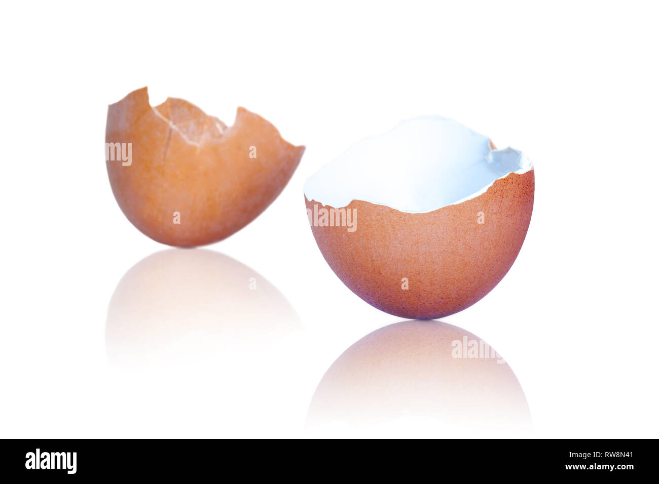 Broken egg shells marron avec des réflexions isolé sur fond blanc. Banque D'Images