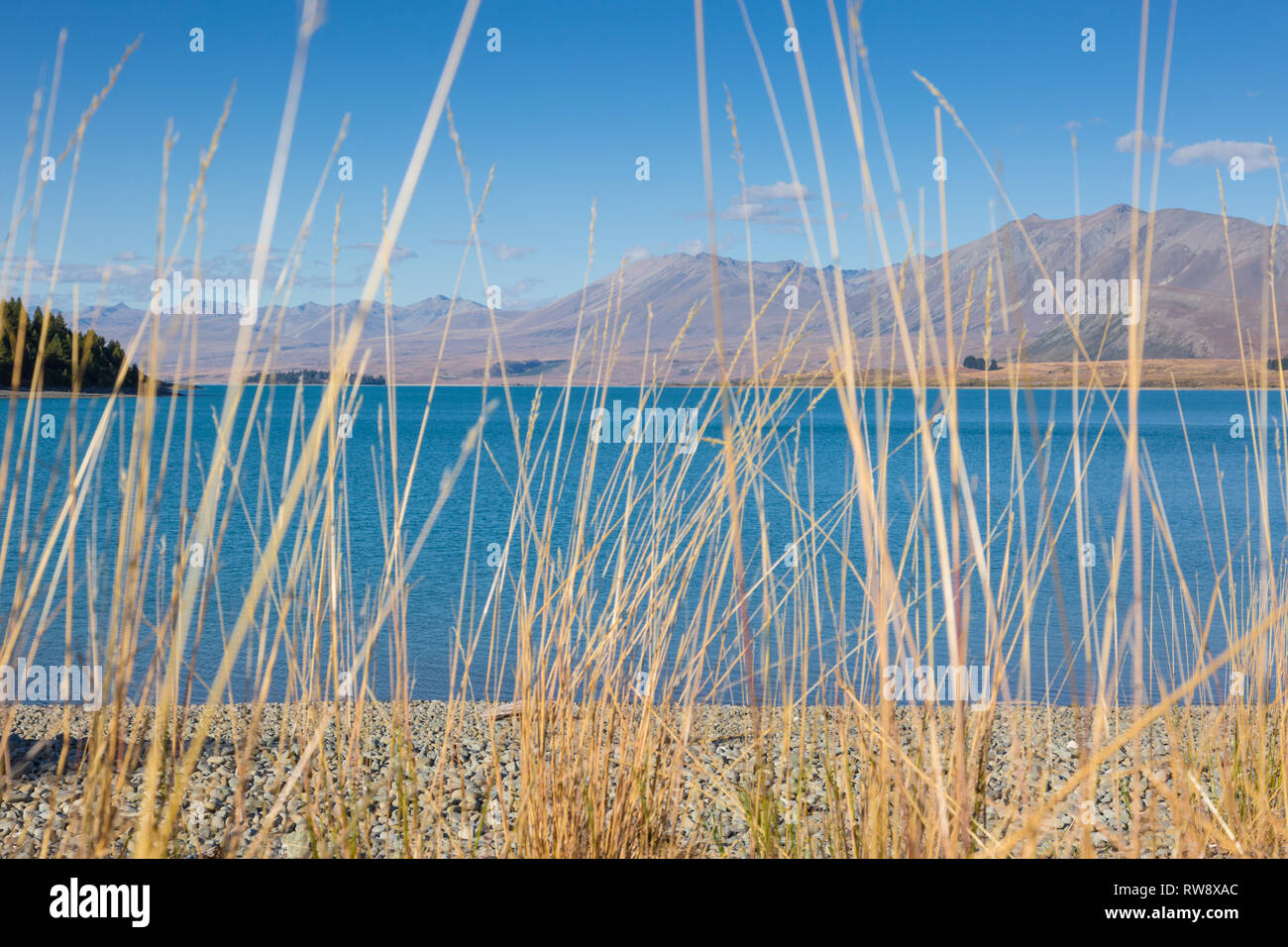 Lake Tekapo, Nouvelle-Zélande Banque D'Images