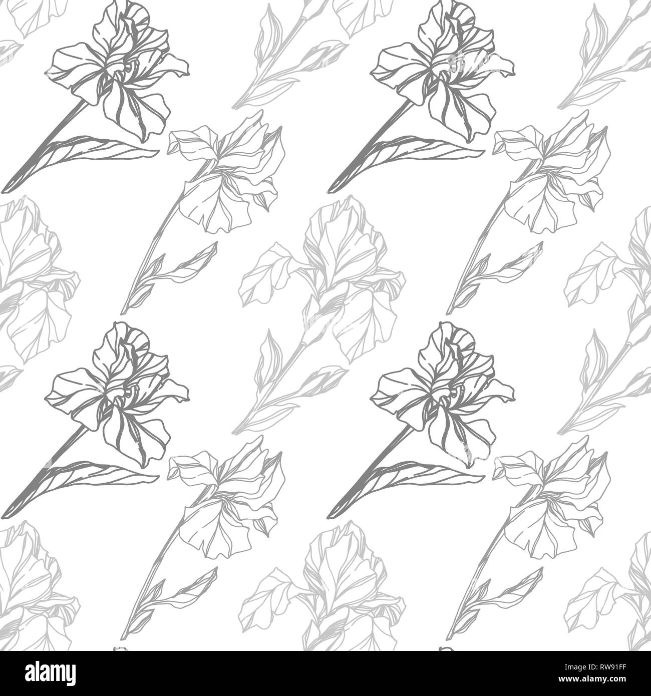 Vector floral fleur Iris botaniques. Lame de ressort sauvages isolés de fleurs sauvages. Gris et Blanc encre gravée motif de fond transparente art.. Wallpa tissu Illustration de Vecteur