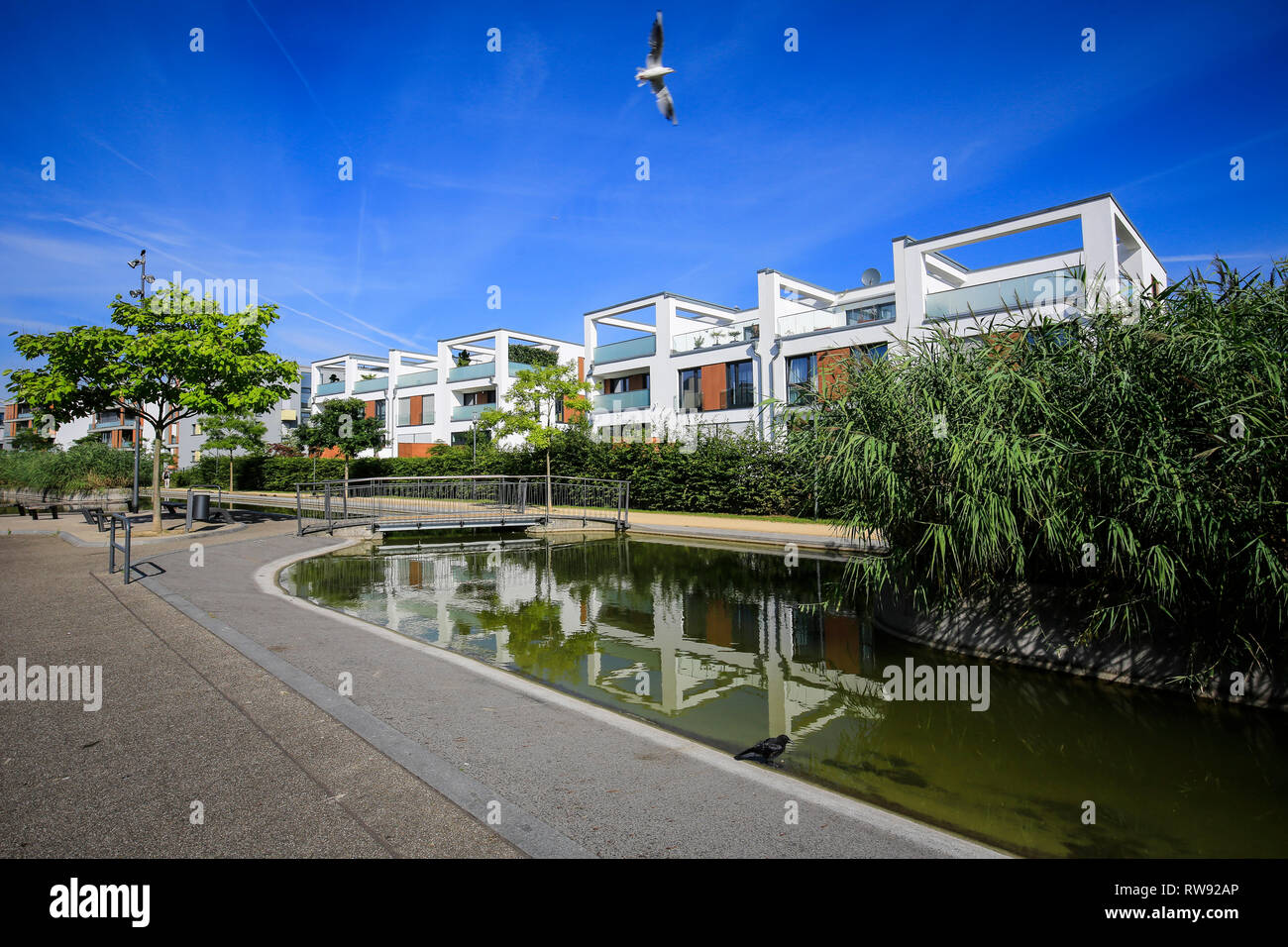 Essen, Rhénanie du Nord-Westphalie, région de la Ruhr, Allemagne, Gruene Mitte Essen, projet de développement urbain dans le quartier de l'université, dans la ville du nord 100 Banque D'Images