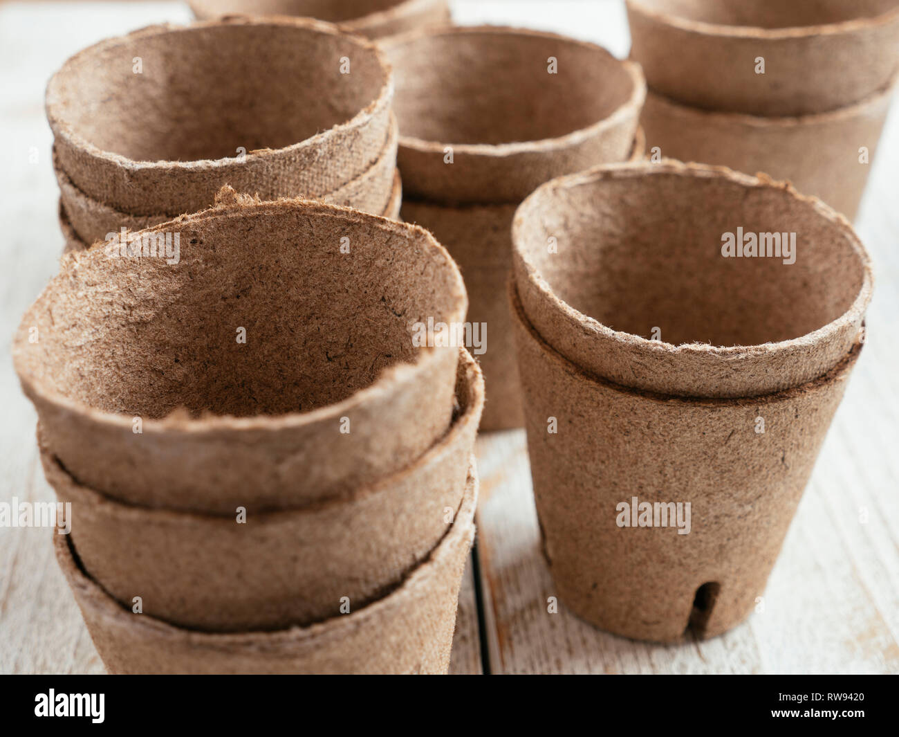 La tourbe biodégradable pots de plantation, qui aident à réduire l'utilisation de plastique dans le jardinage. Banque D'Images