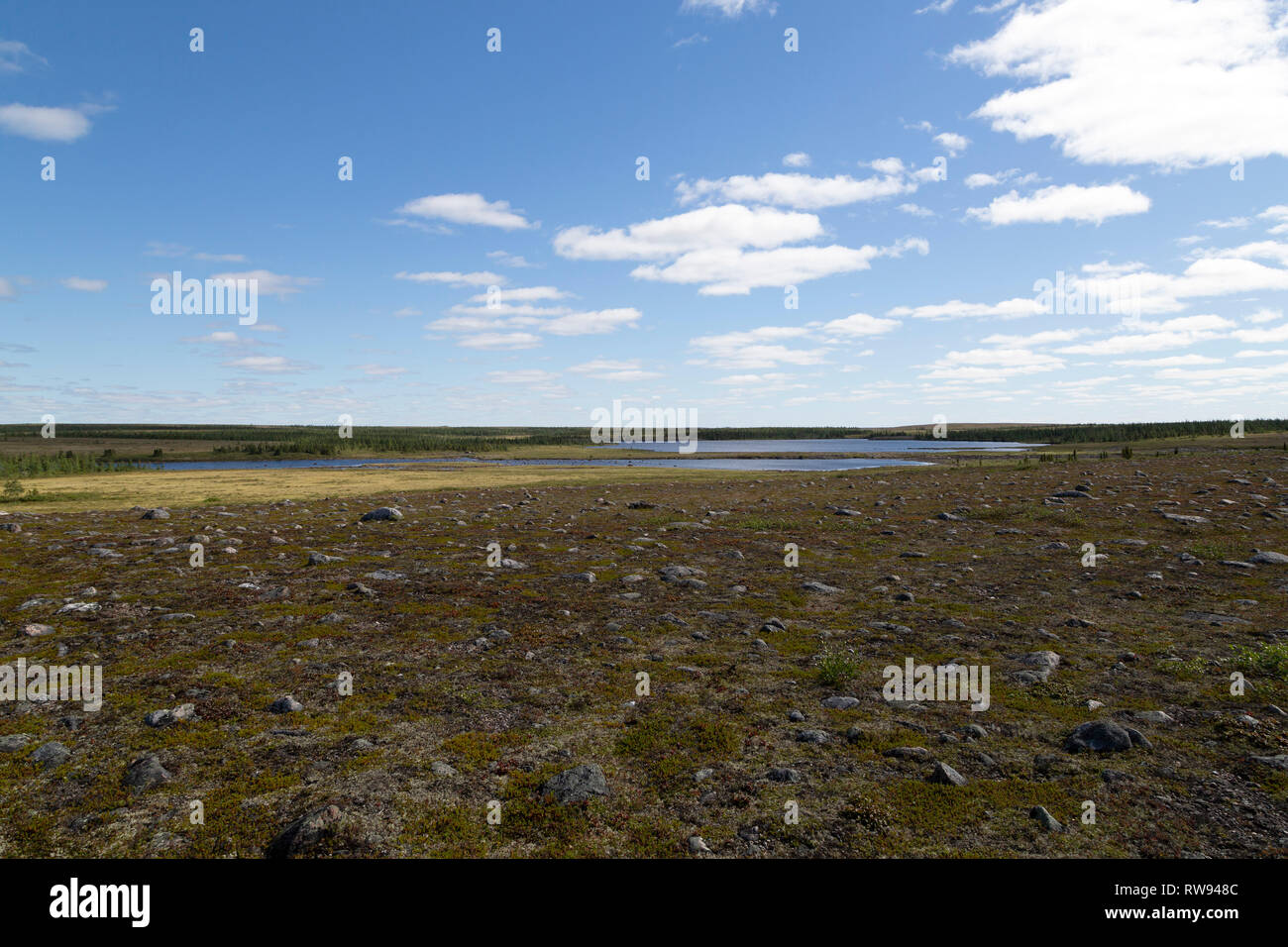 Paysage sur la frontière du Manitoba et Nunavut, Canada. Banque D'Images