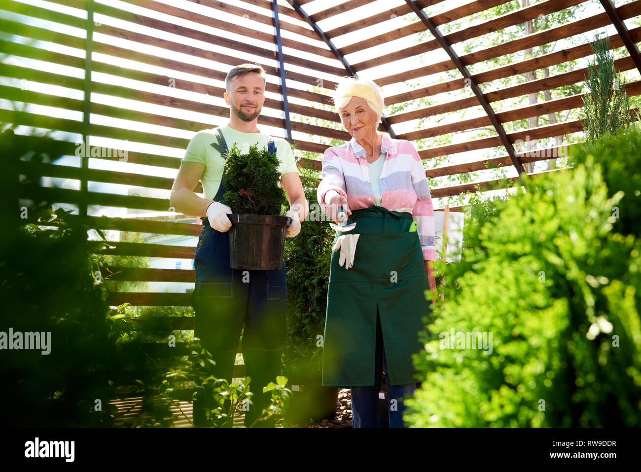 Deux jardiniers dans serre botanique Banque D'Images